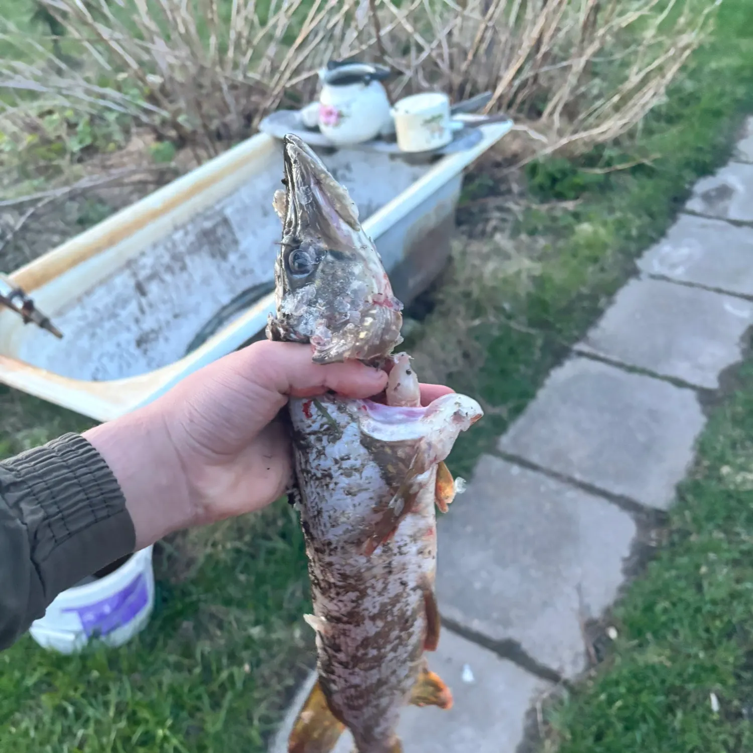 catch