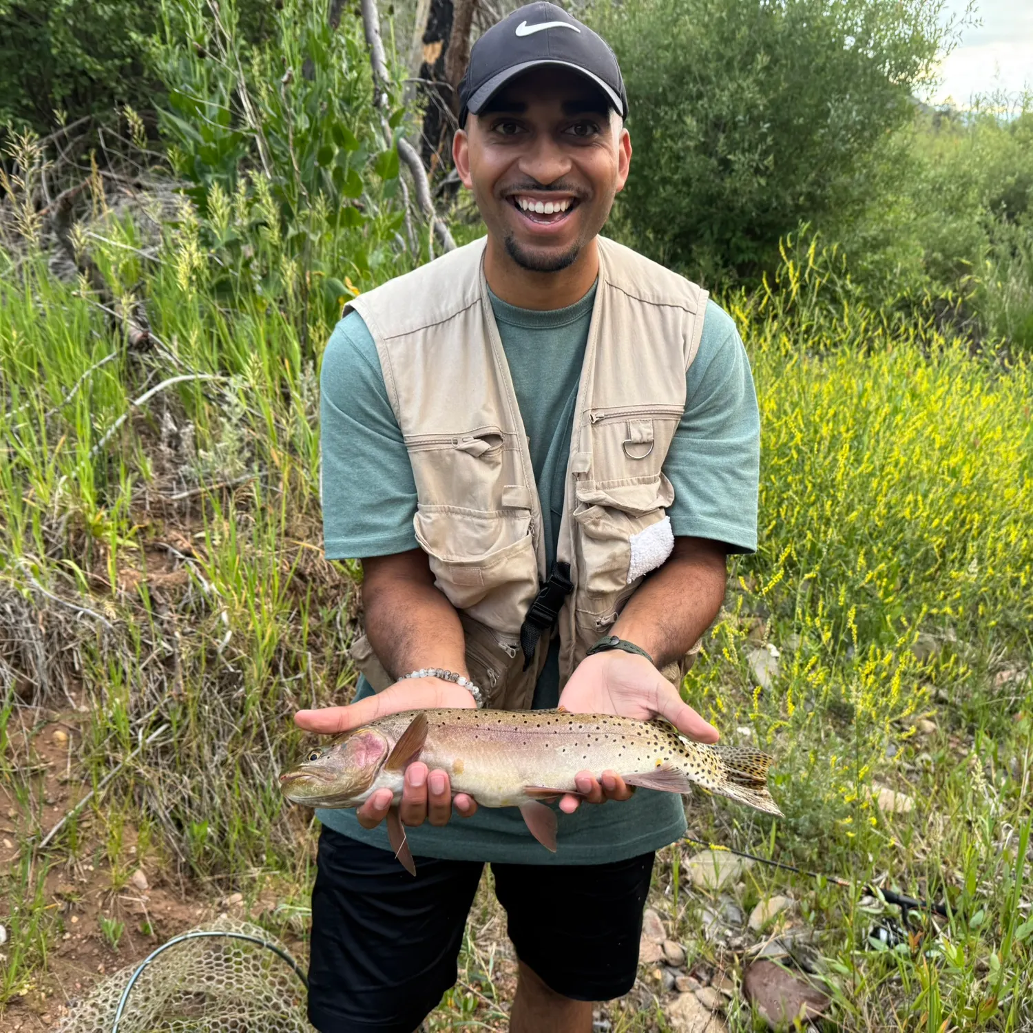 The most recent Bonneville cutthroat trout catches on Fishbrain