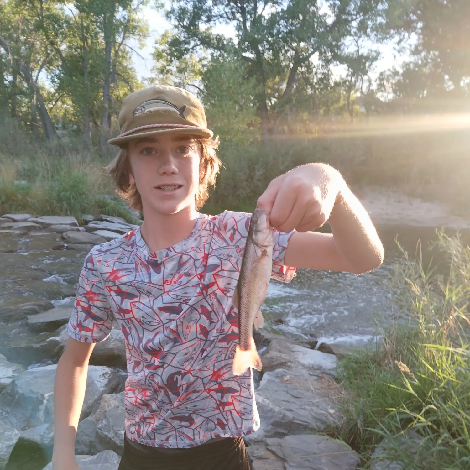 Creek chub caught on Fishbrain