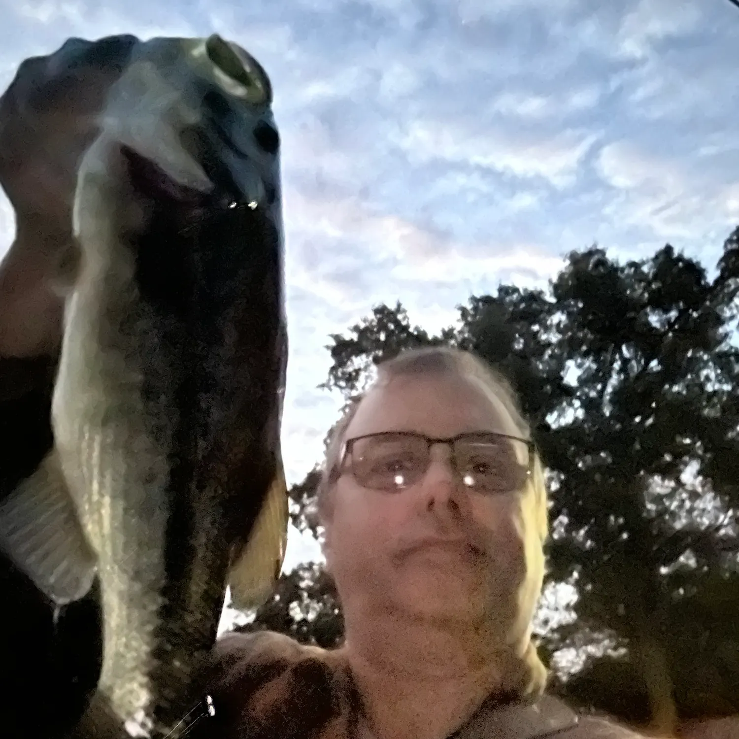 Spotted bass caught on Fishbrain