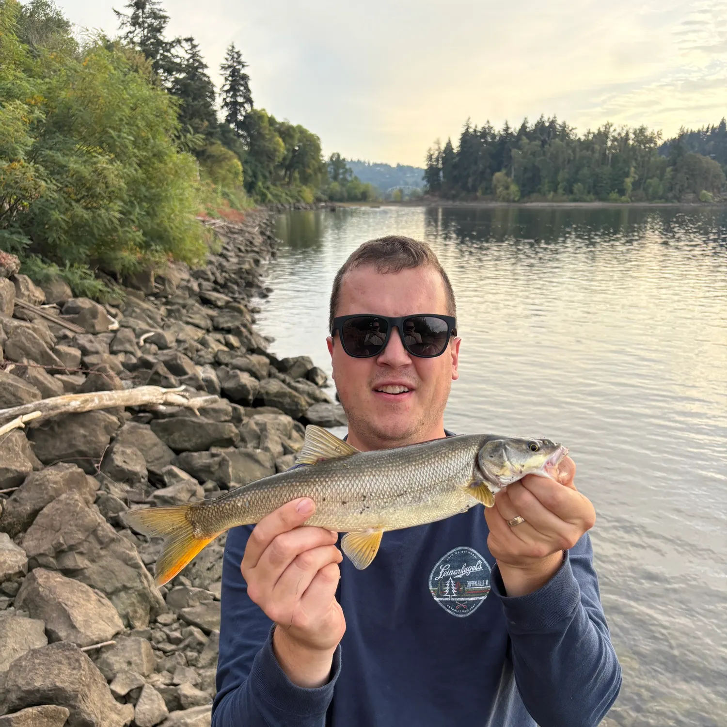 Northern pikeminnow caught on Fishbrain