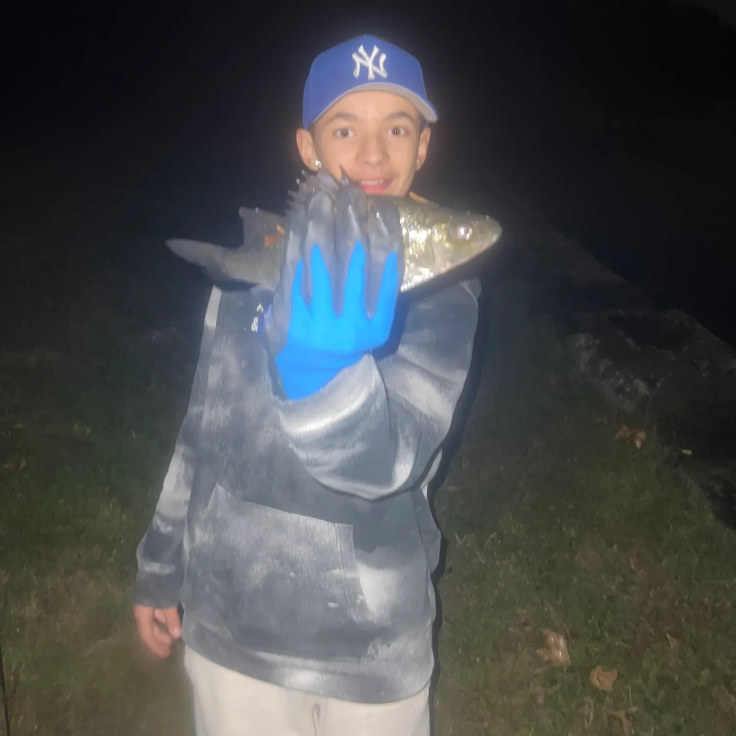 White perch caught on Fishbrain