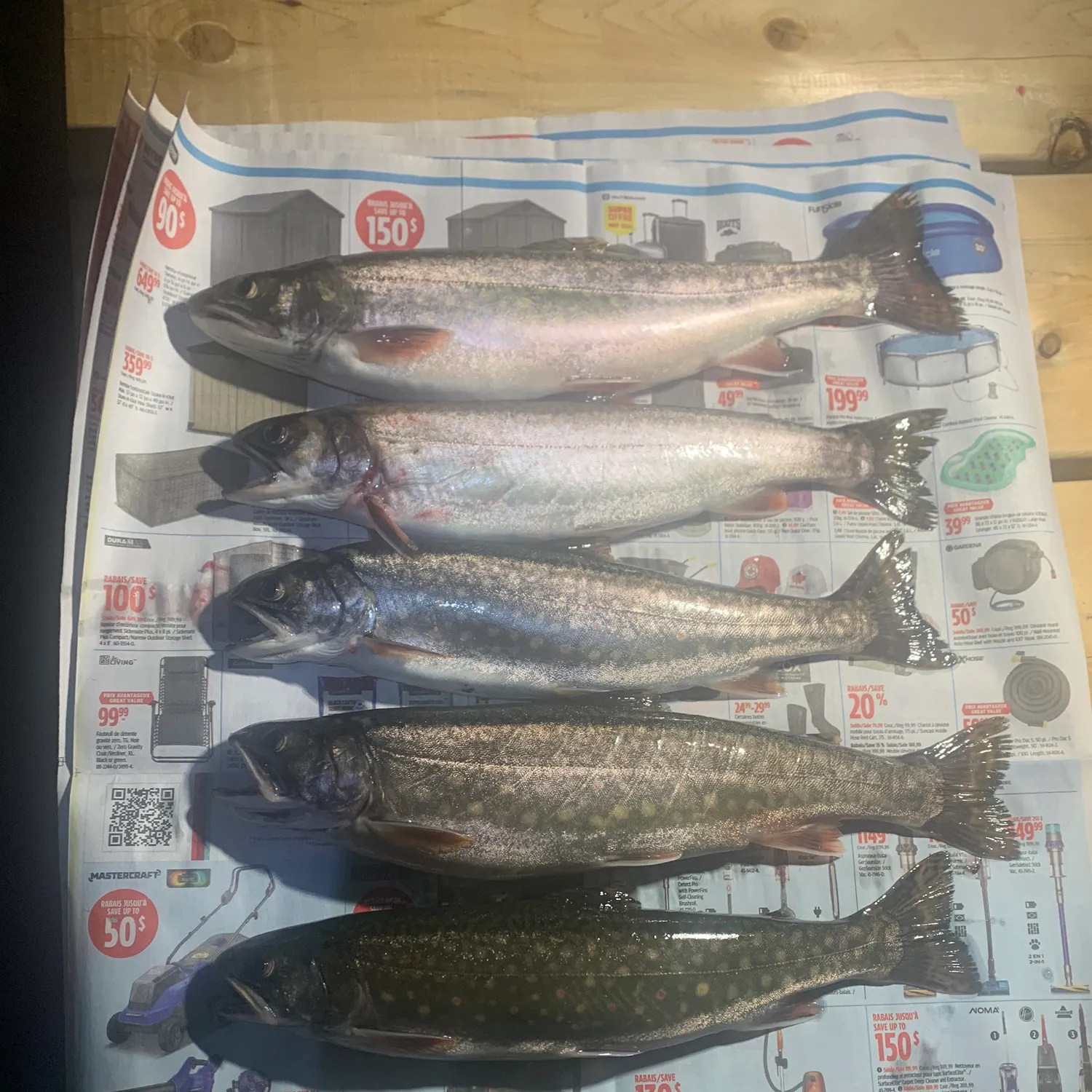 recently logged catches