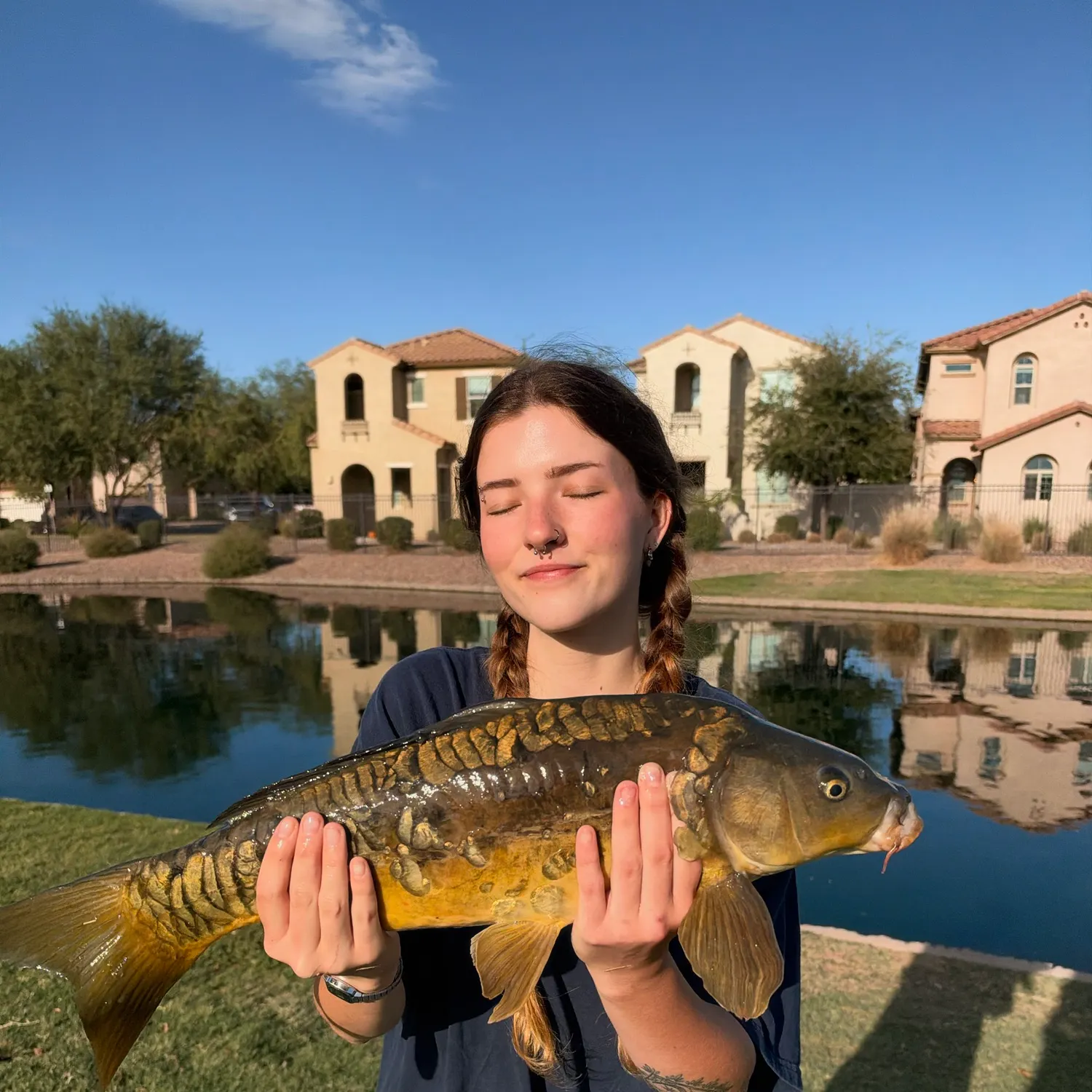 Mirror carp caught on Fishbrain