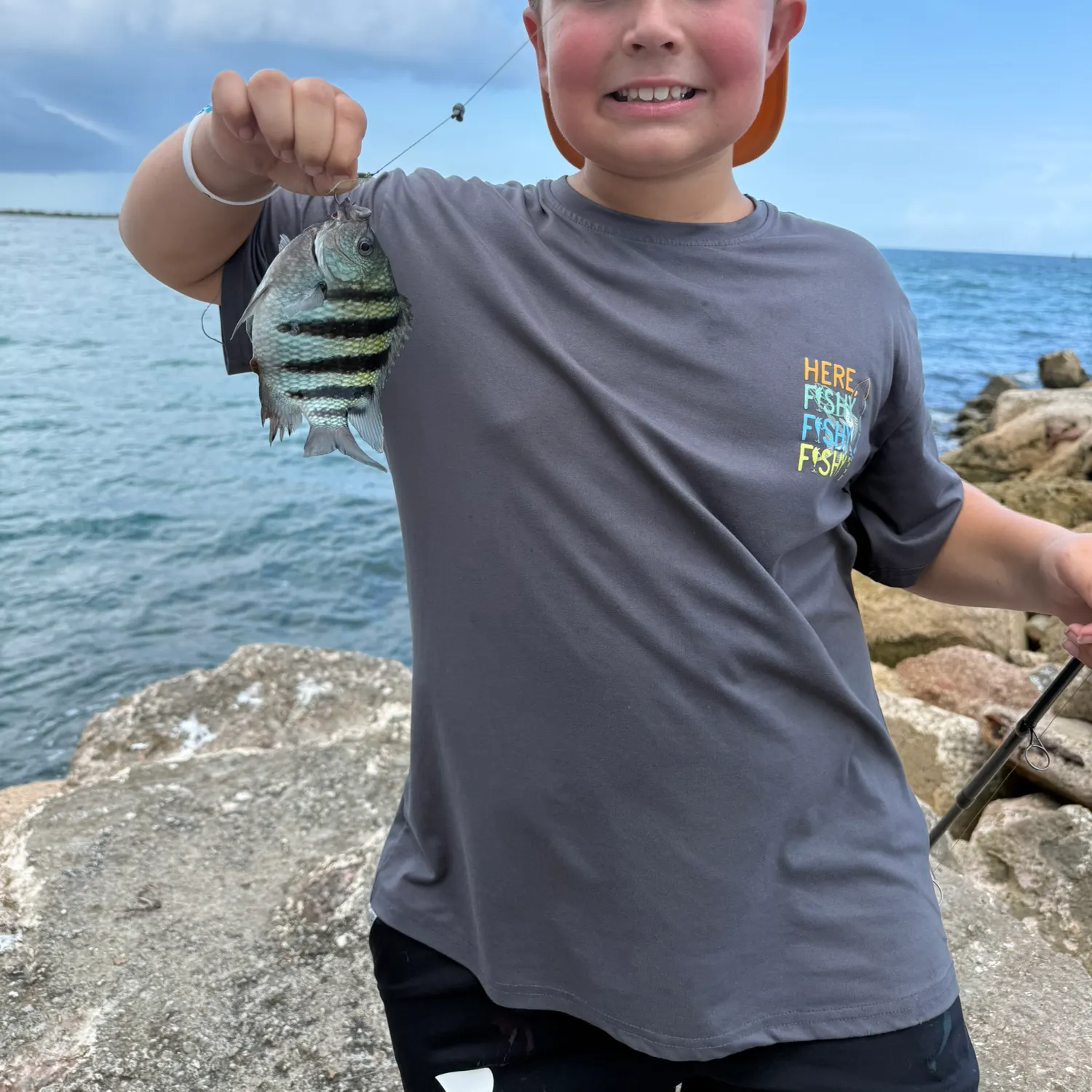 The most recent Sergeant-major catches on Fishbrain