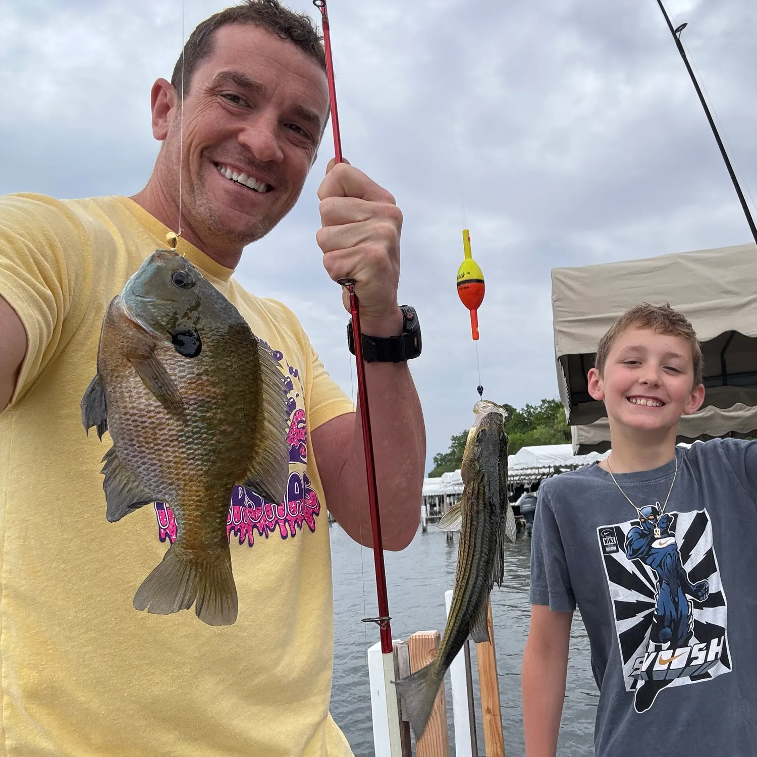 recently logged catches