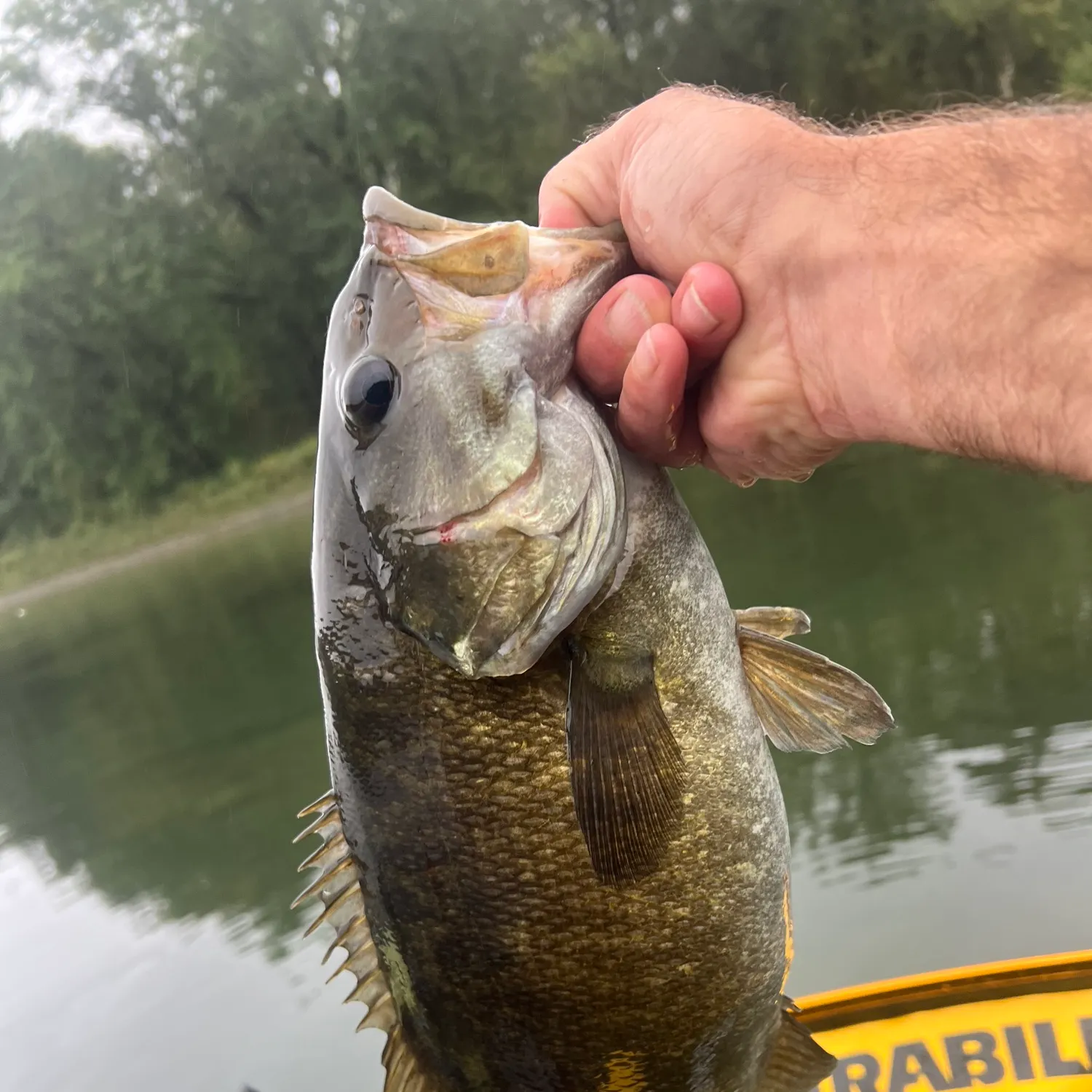 angler catch