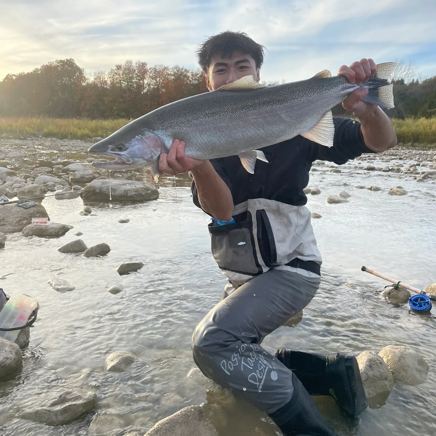 Steelhead caught on Fishbrain