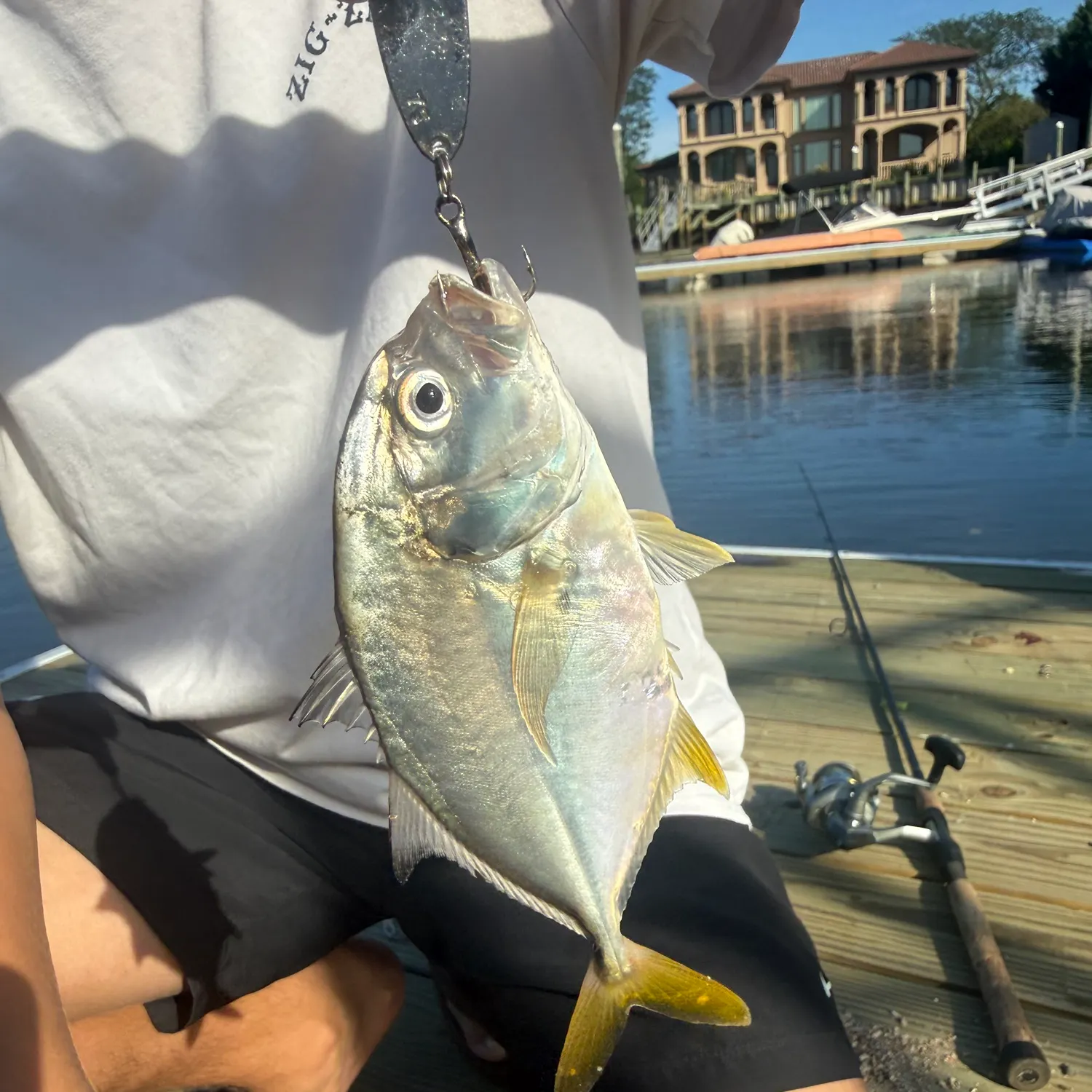 Crevalle jack caught on Fishbrain