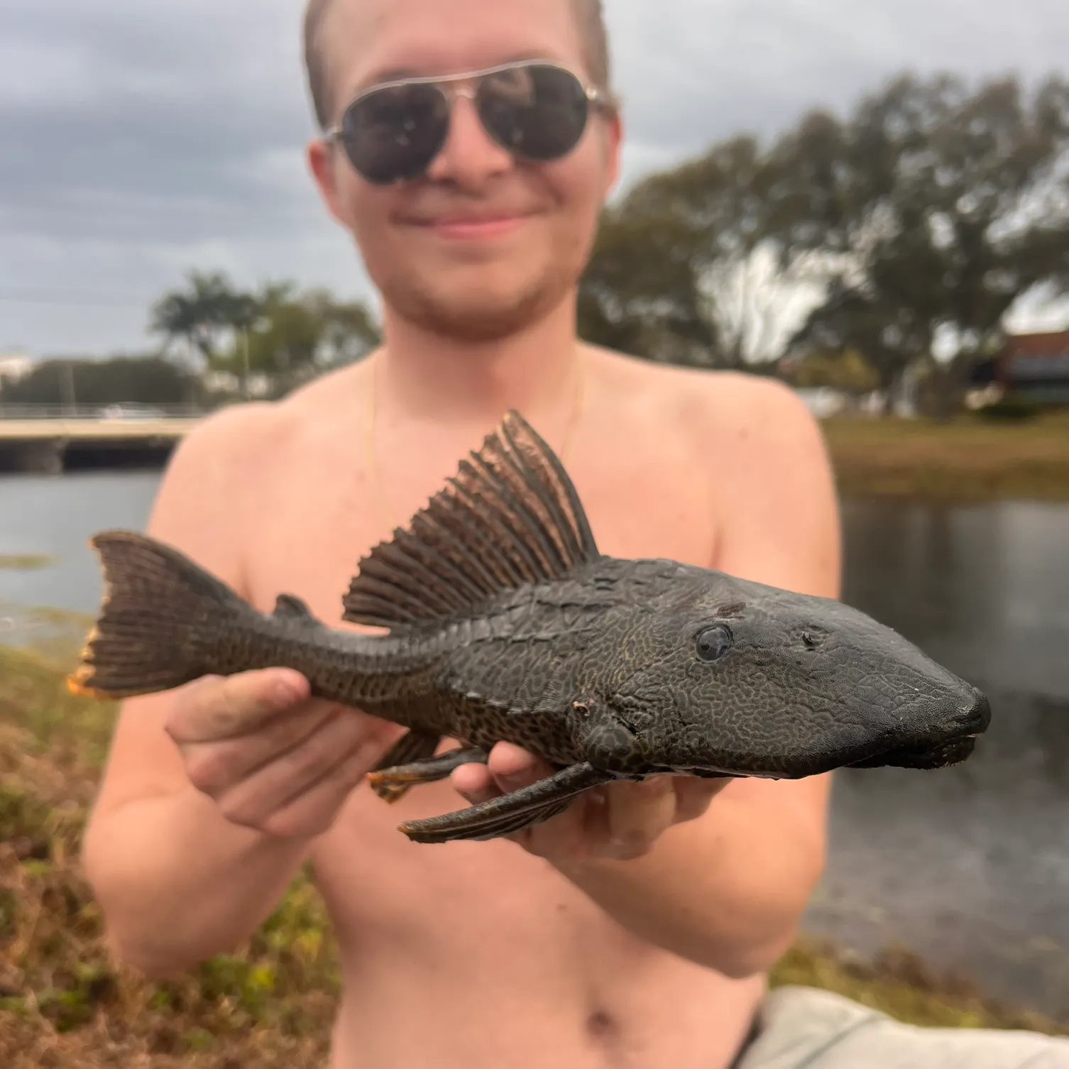 The most recent Suckermouth catfish catches on Fishbrain