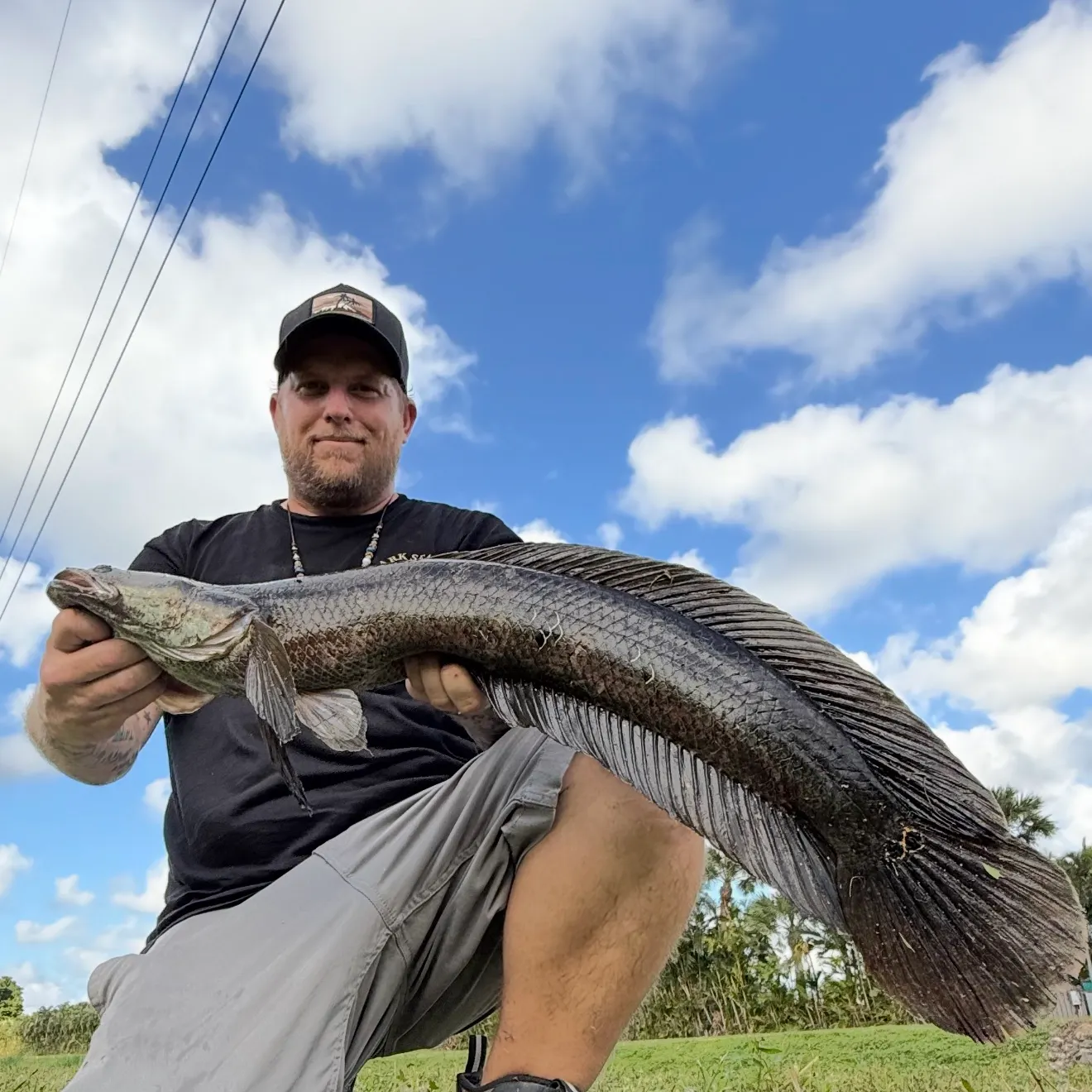 The most recent Bullseye snakehead catches on Fishbrain