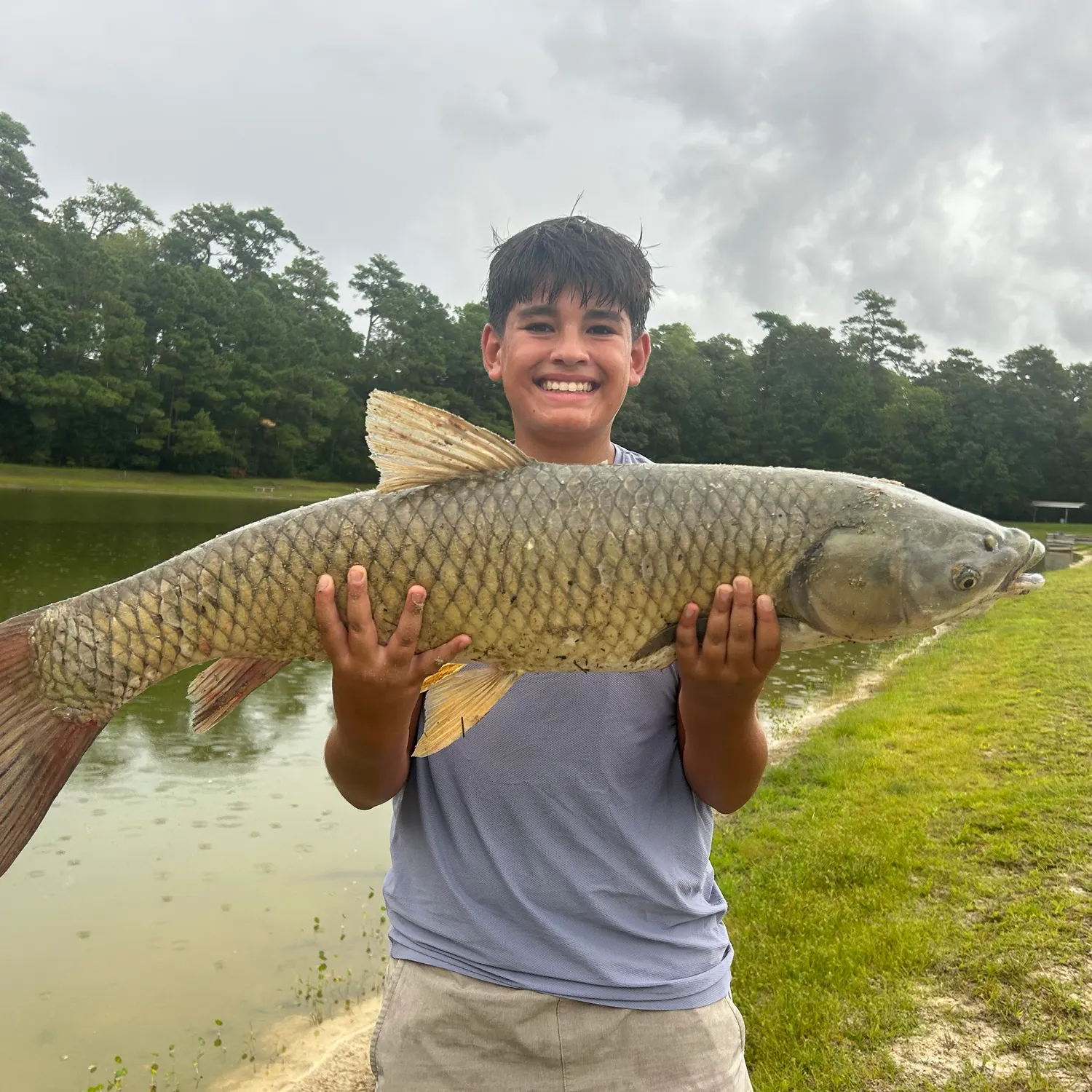 Grass carp caught on Fishbrain