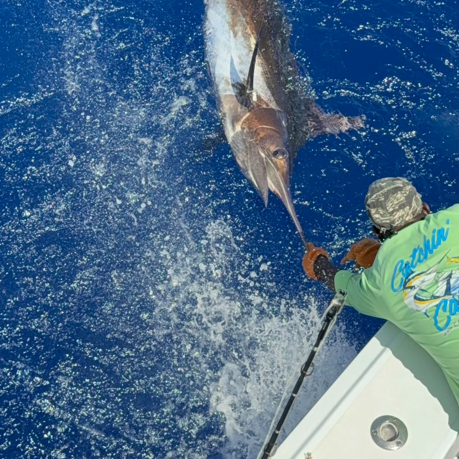 catch