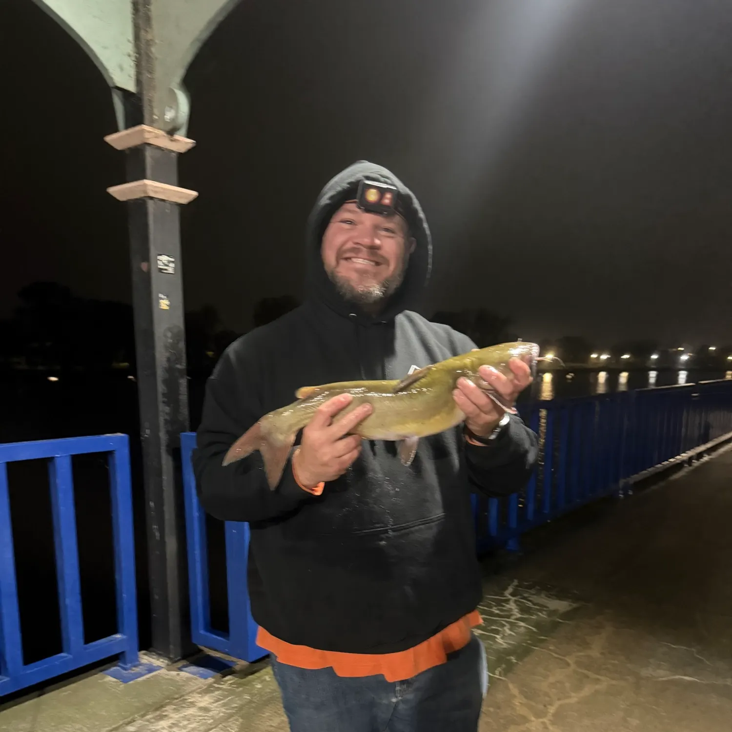 Channel catfish caught on Fishbrain