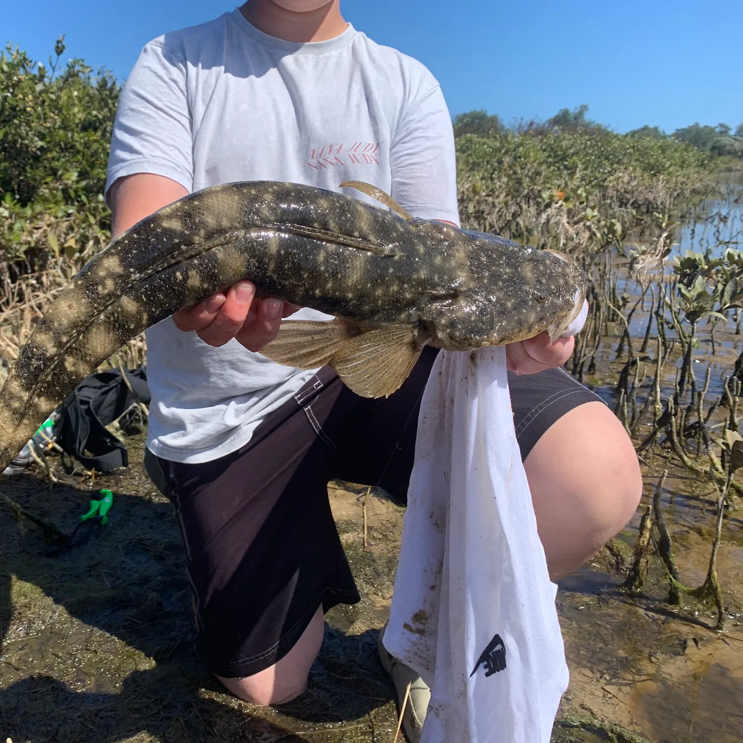 The most recent Dusky flathead catches on Fishbrain