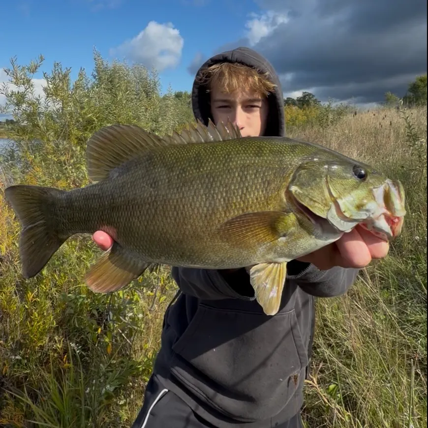 Smallmouth bass caught on Fishbrain