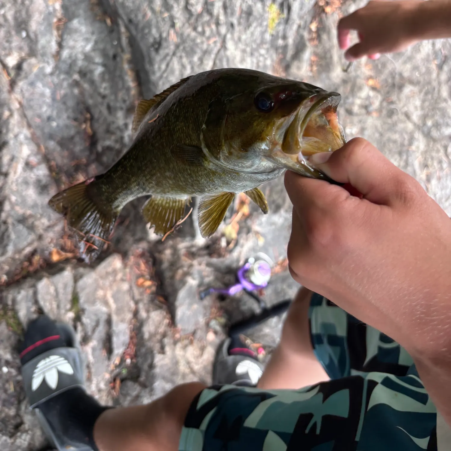 catch