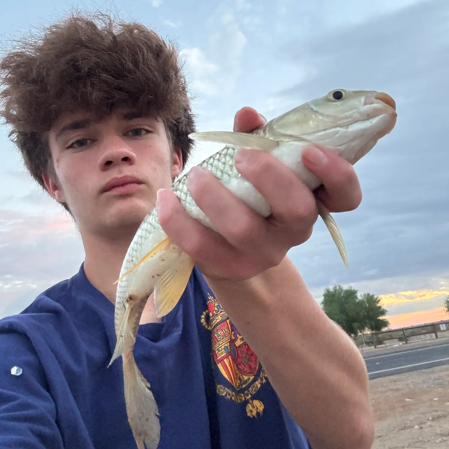 Grass carp caught on Fishbrain