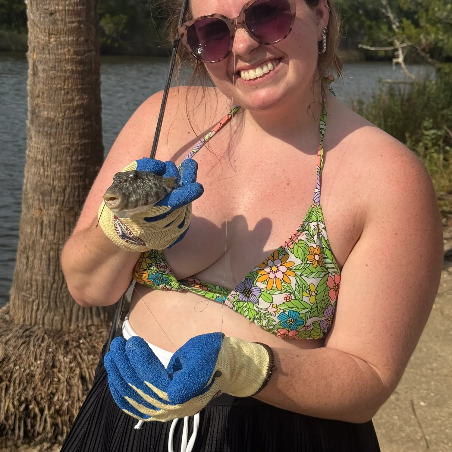 The most recent Milkspotted puffer catches on Fishbrain