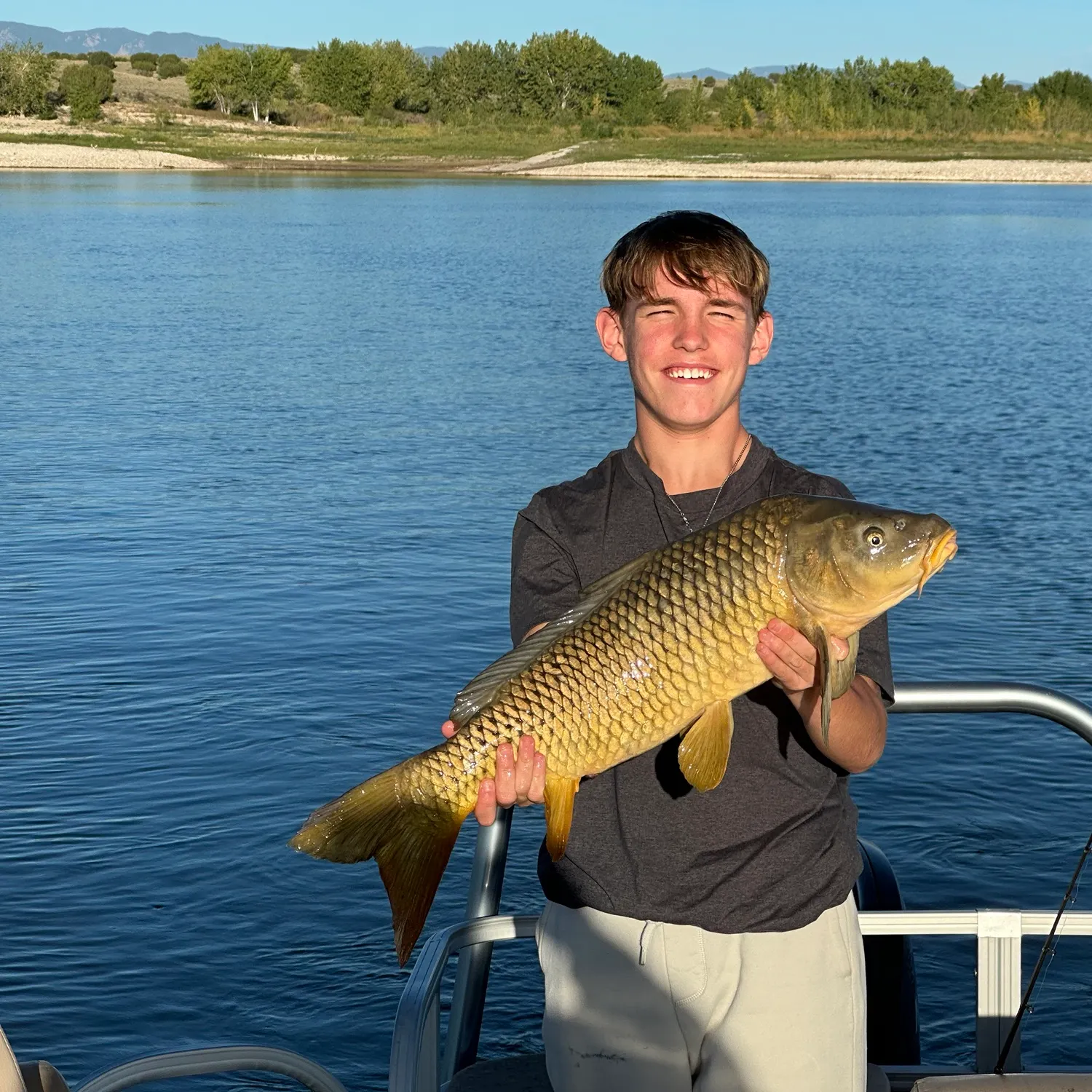 Common carp caught on Fishbrain