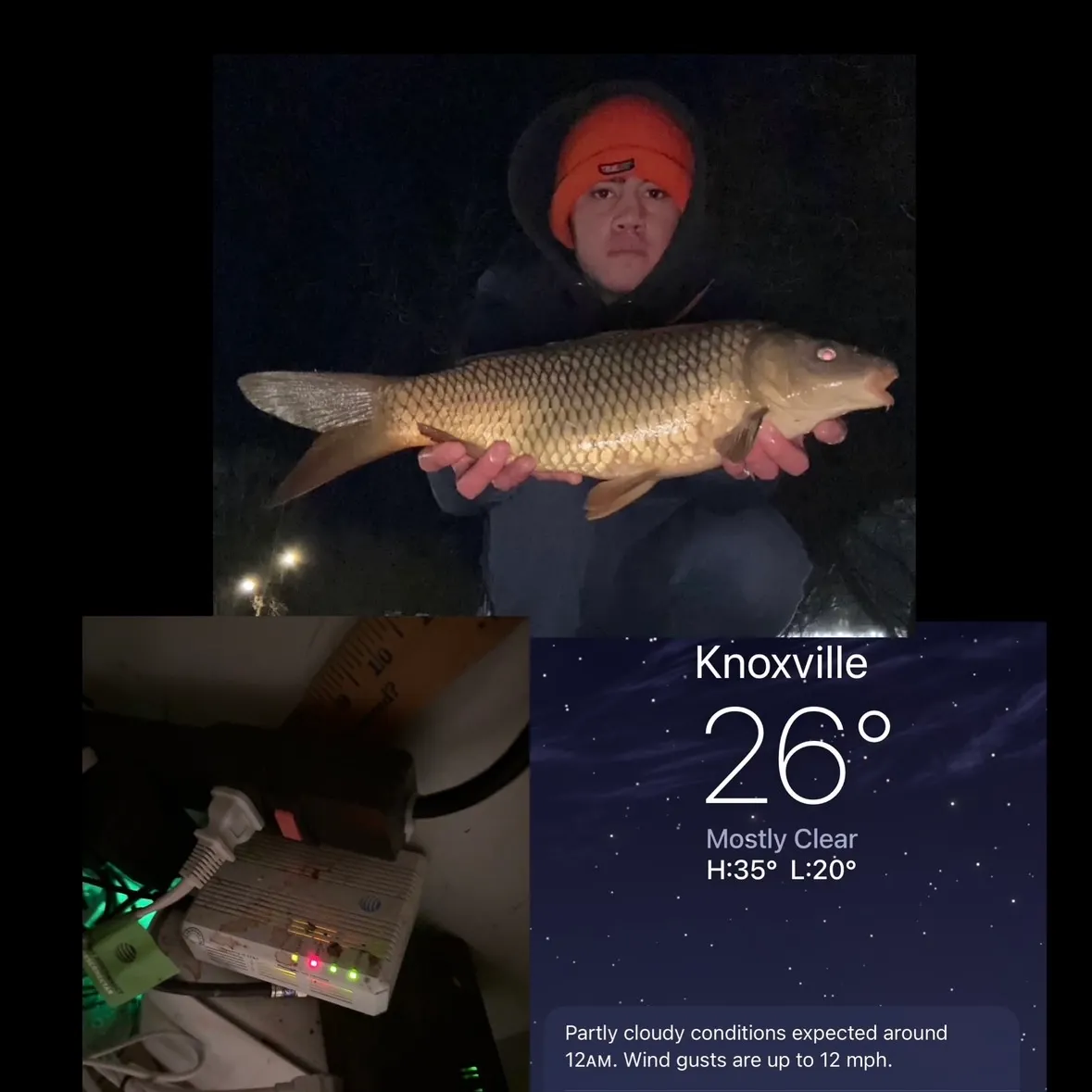 recently logged catches