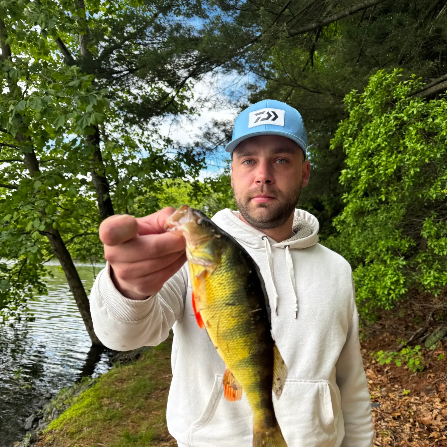 angler catch