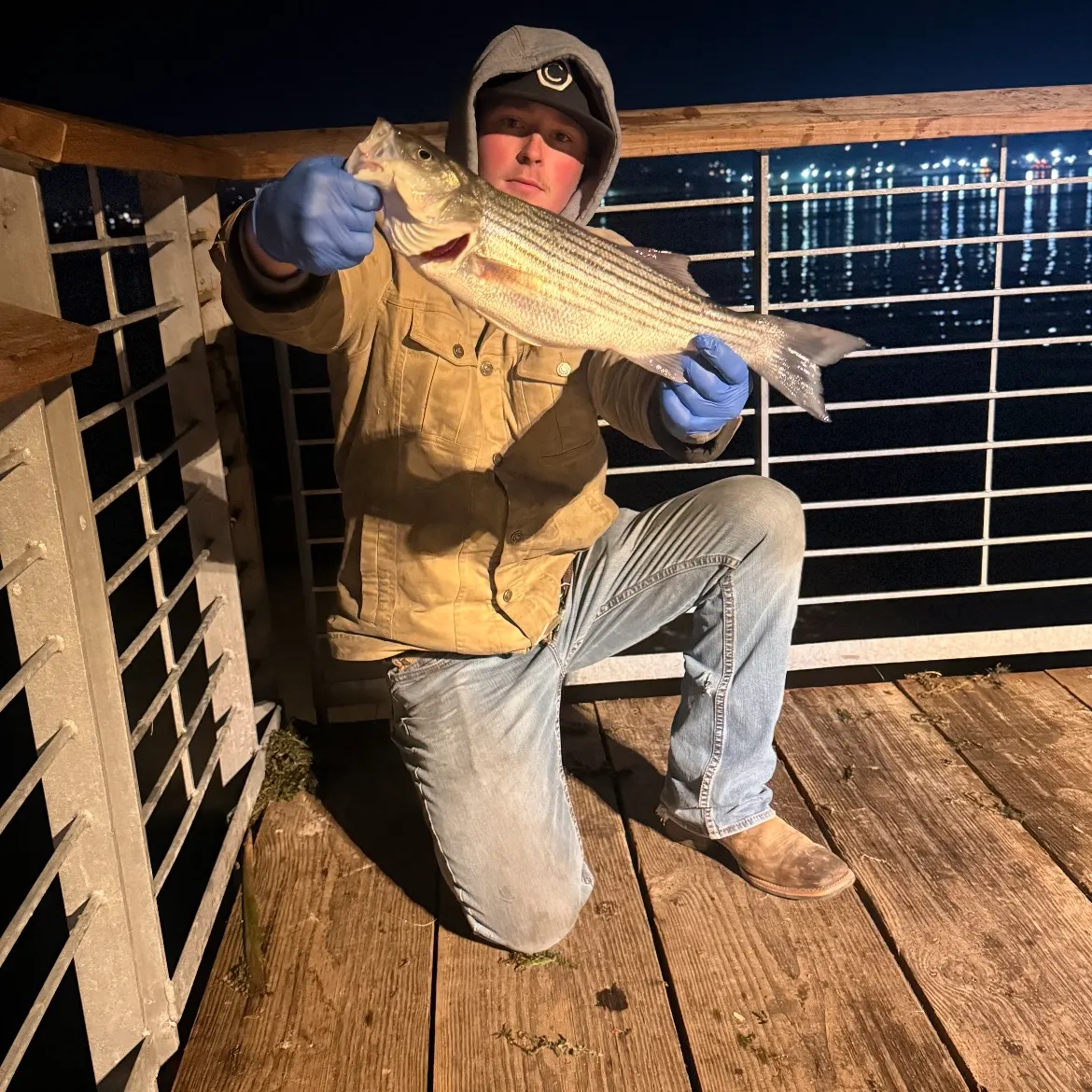 The most recent Striped bass catches on Fishbrain