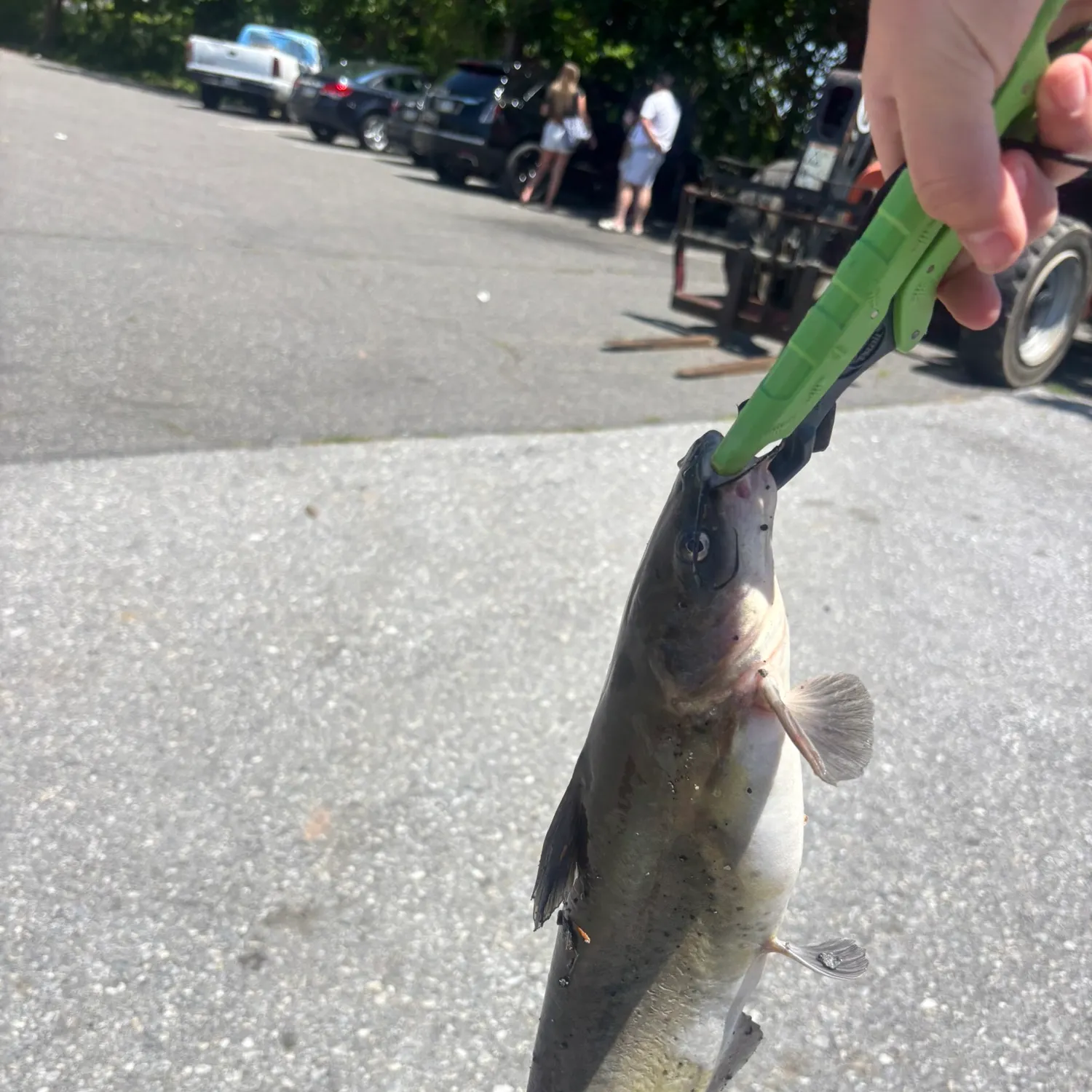 catch