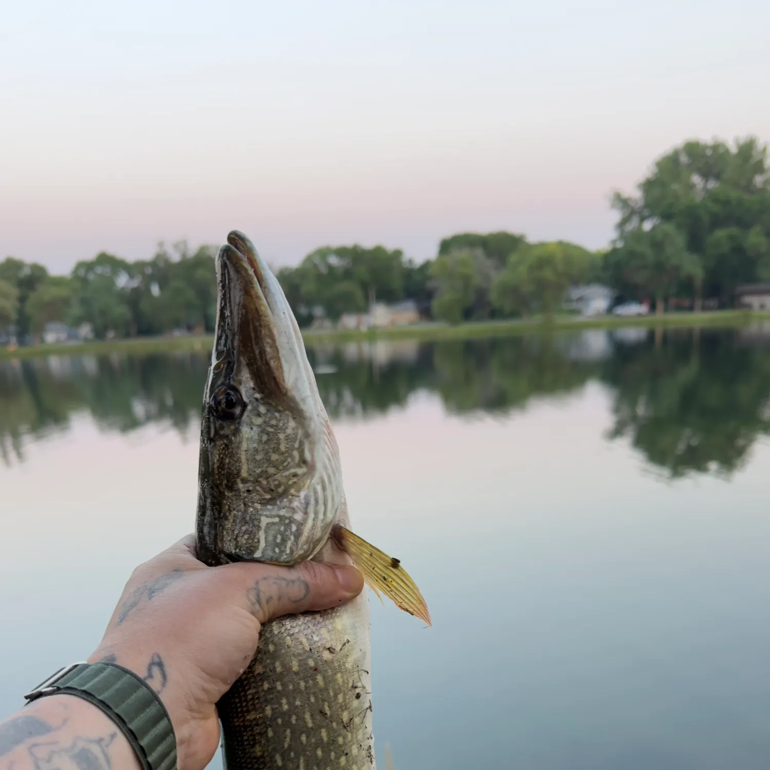 catch