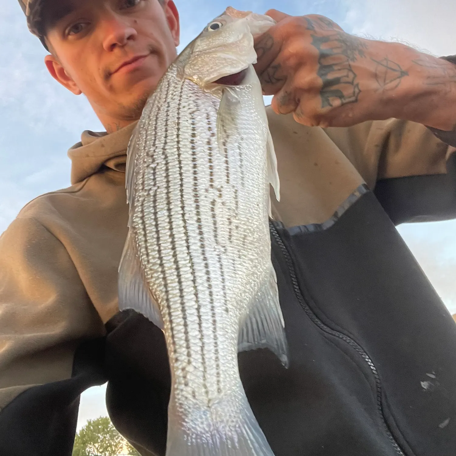 Wiper caught on Fishbrain