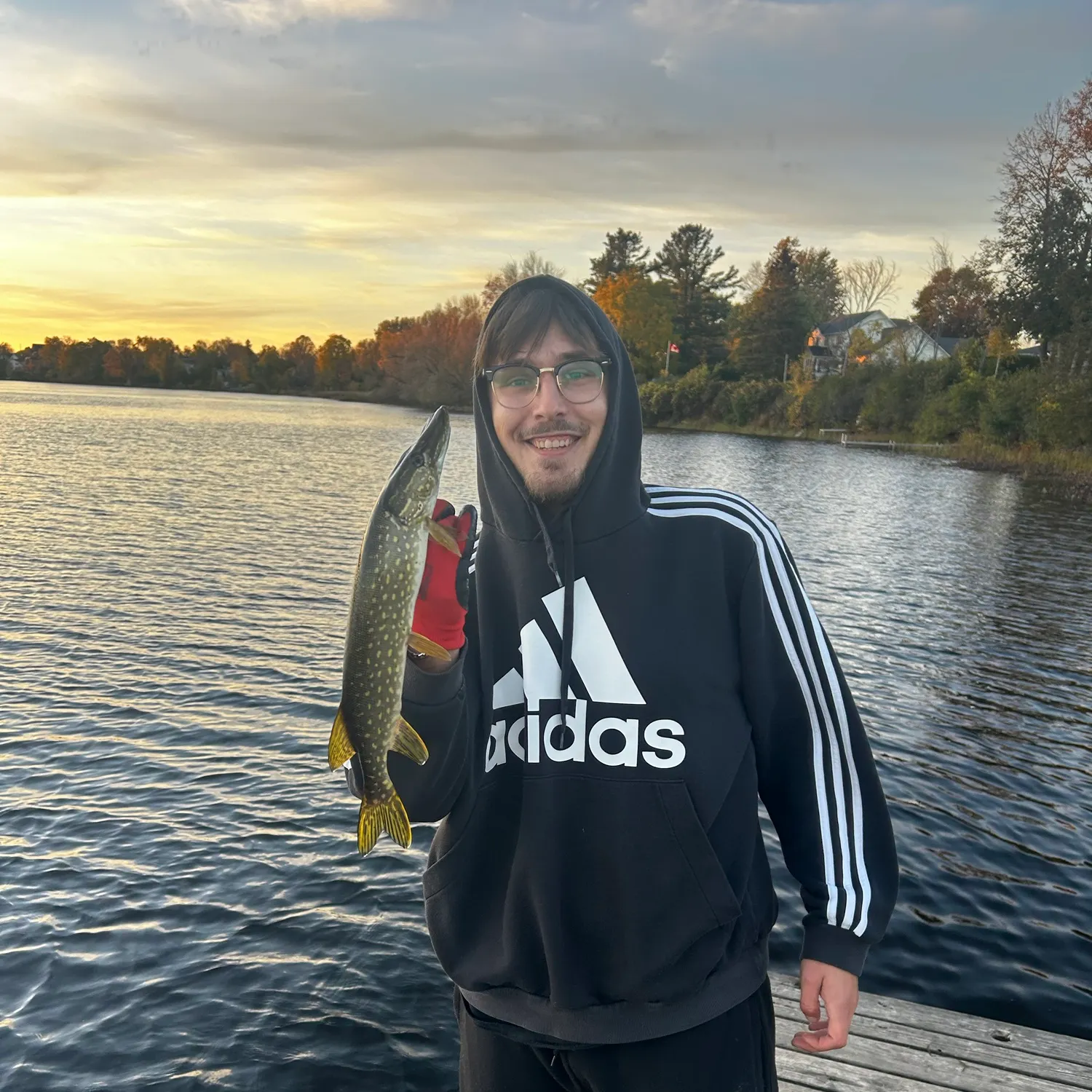 Northern pike caught on Fishbrain