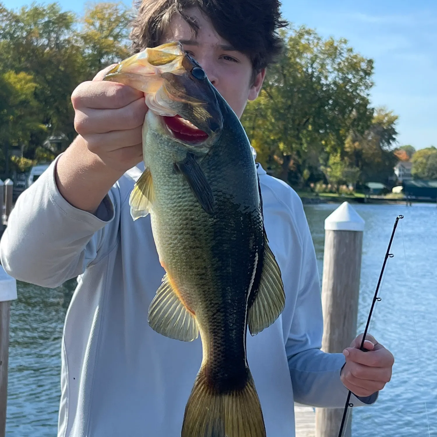 Largemouth bass caught on Fishbrain