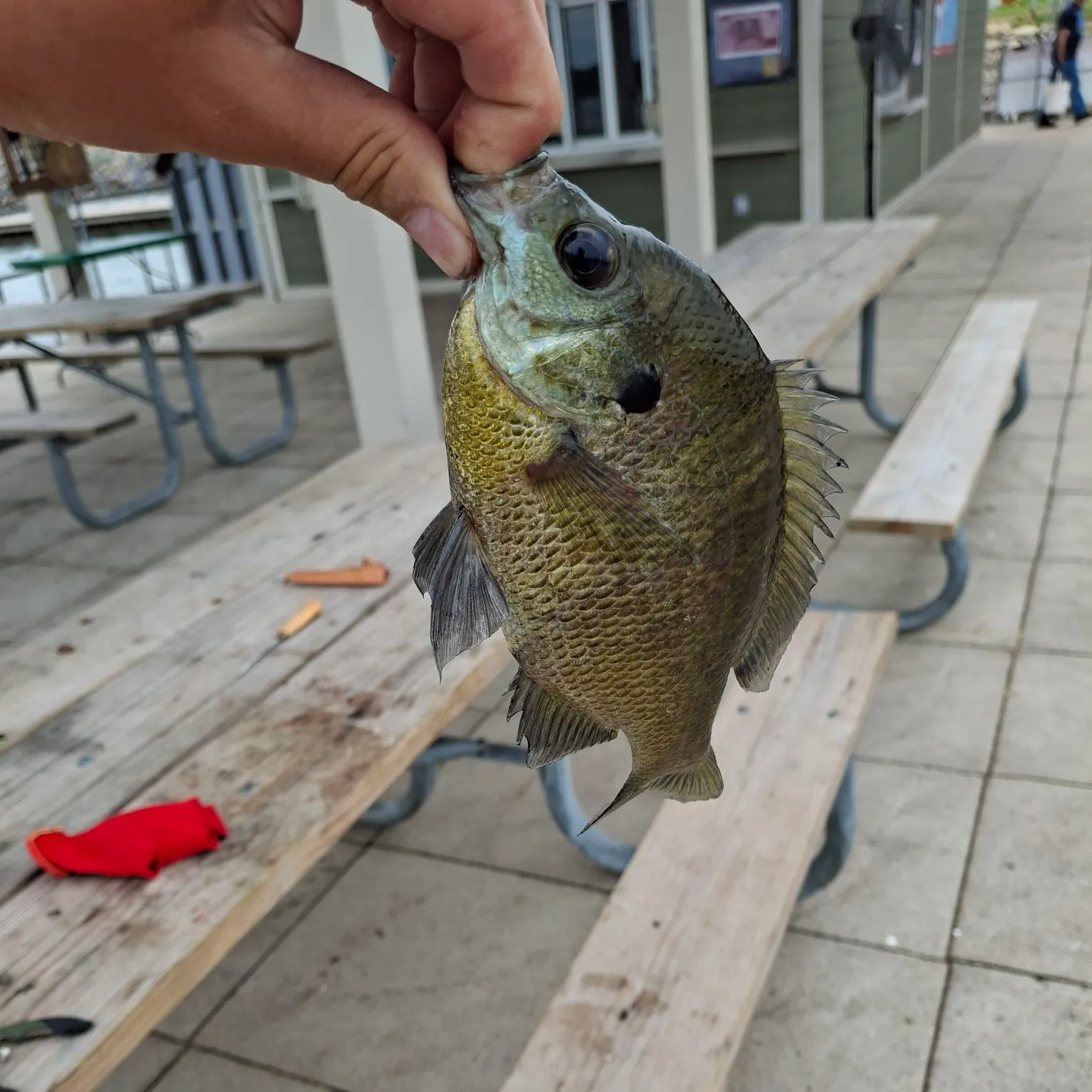 catch