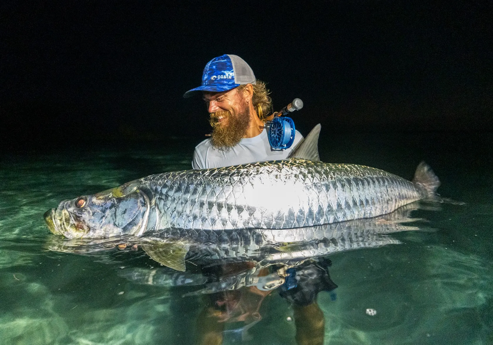 Tarpon