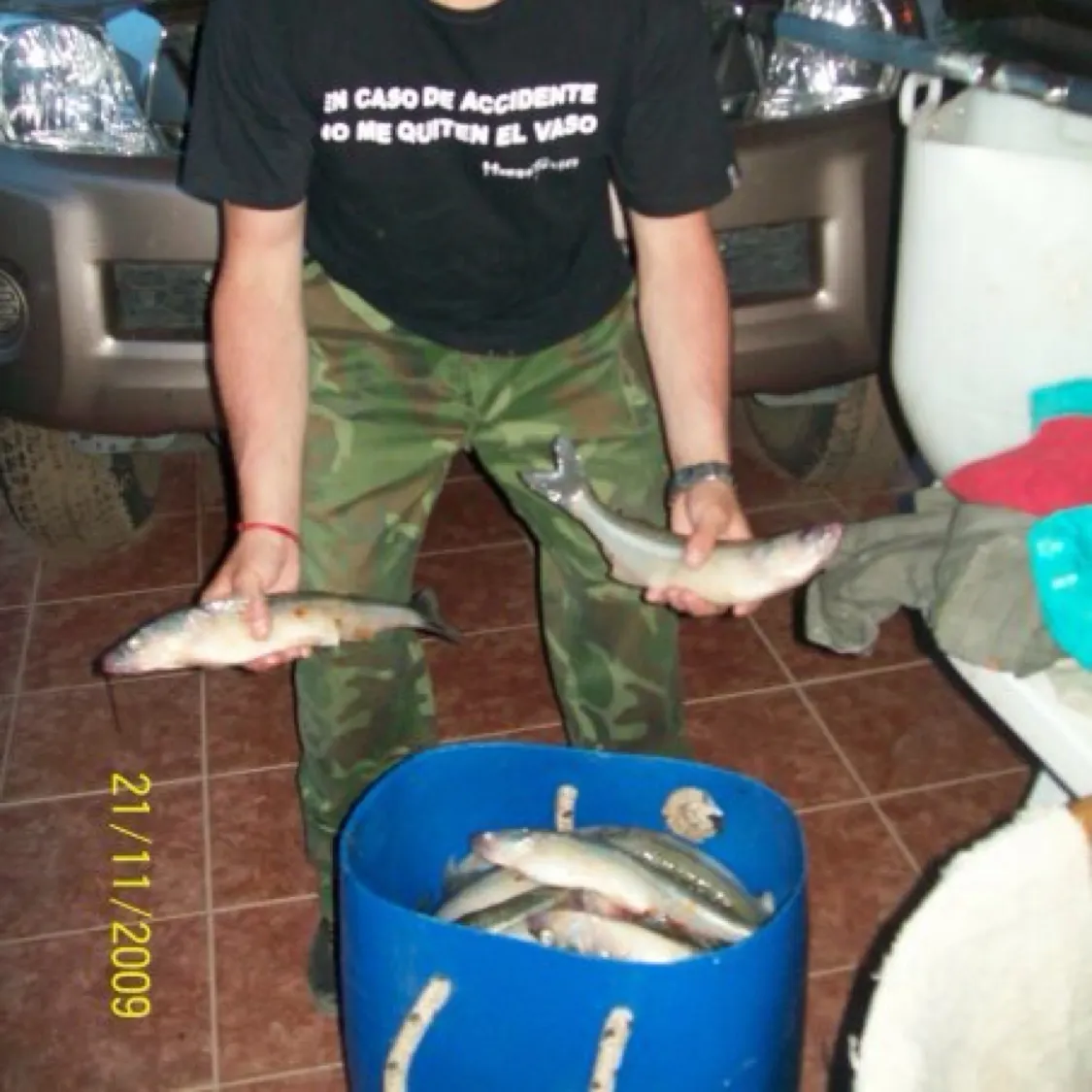 recently logged catches