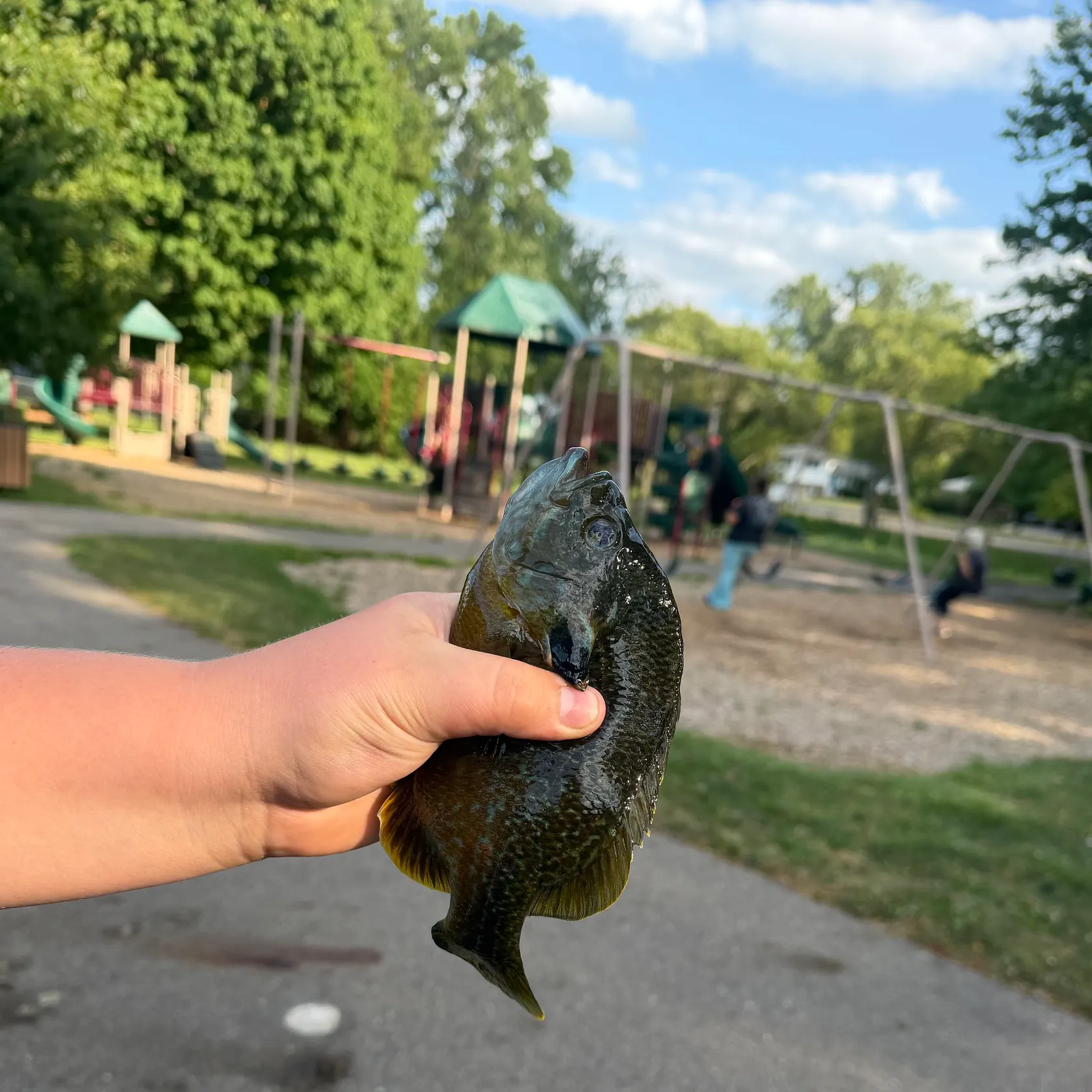 catch