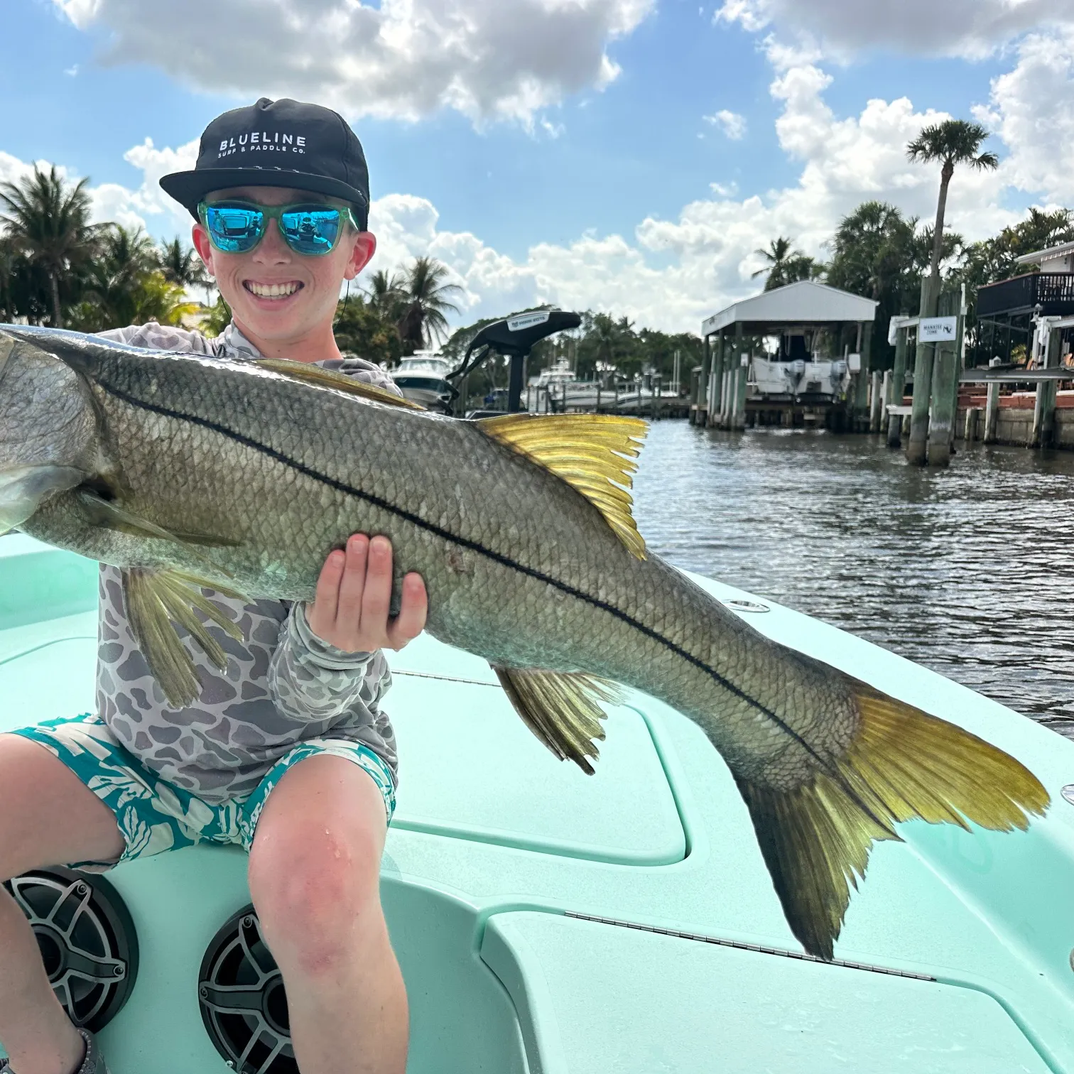 The most recent Common snook catches on Fishbrain