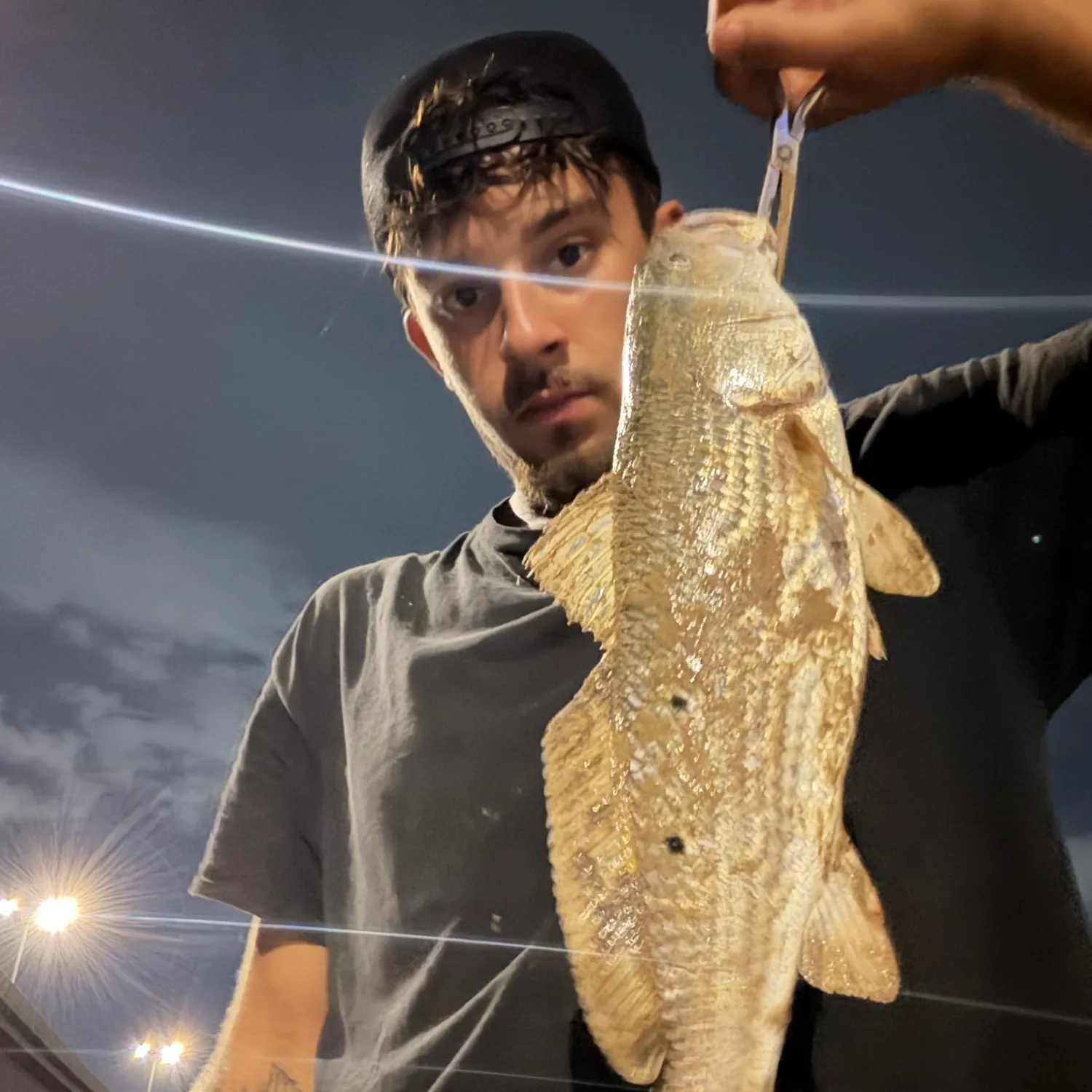 Red drum caught on Fishbrain