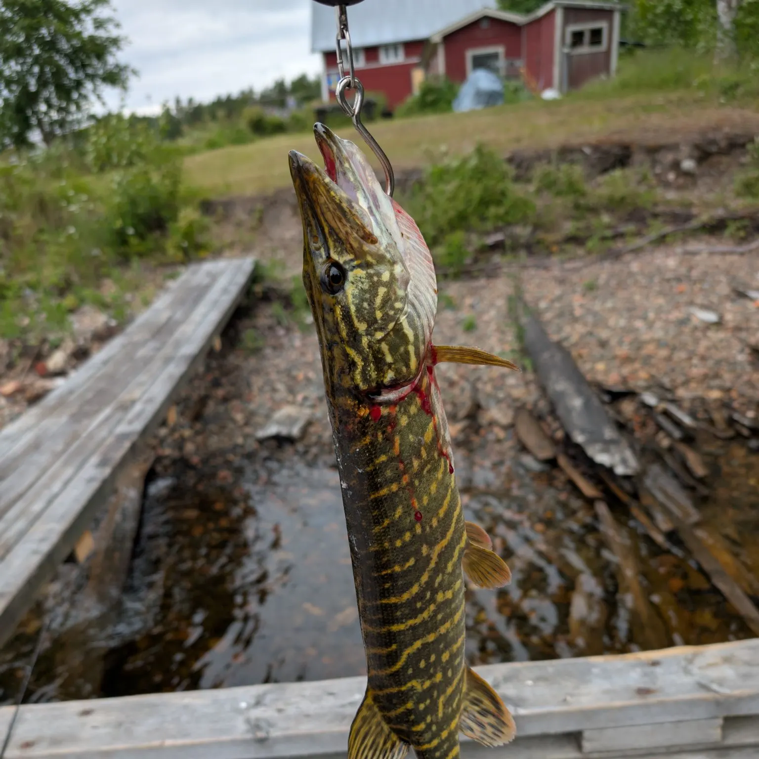 catch