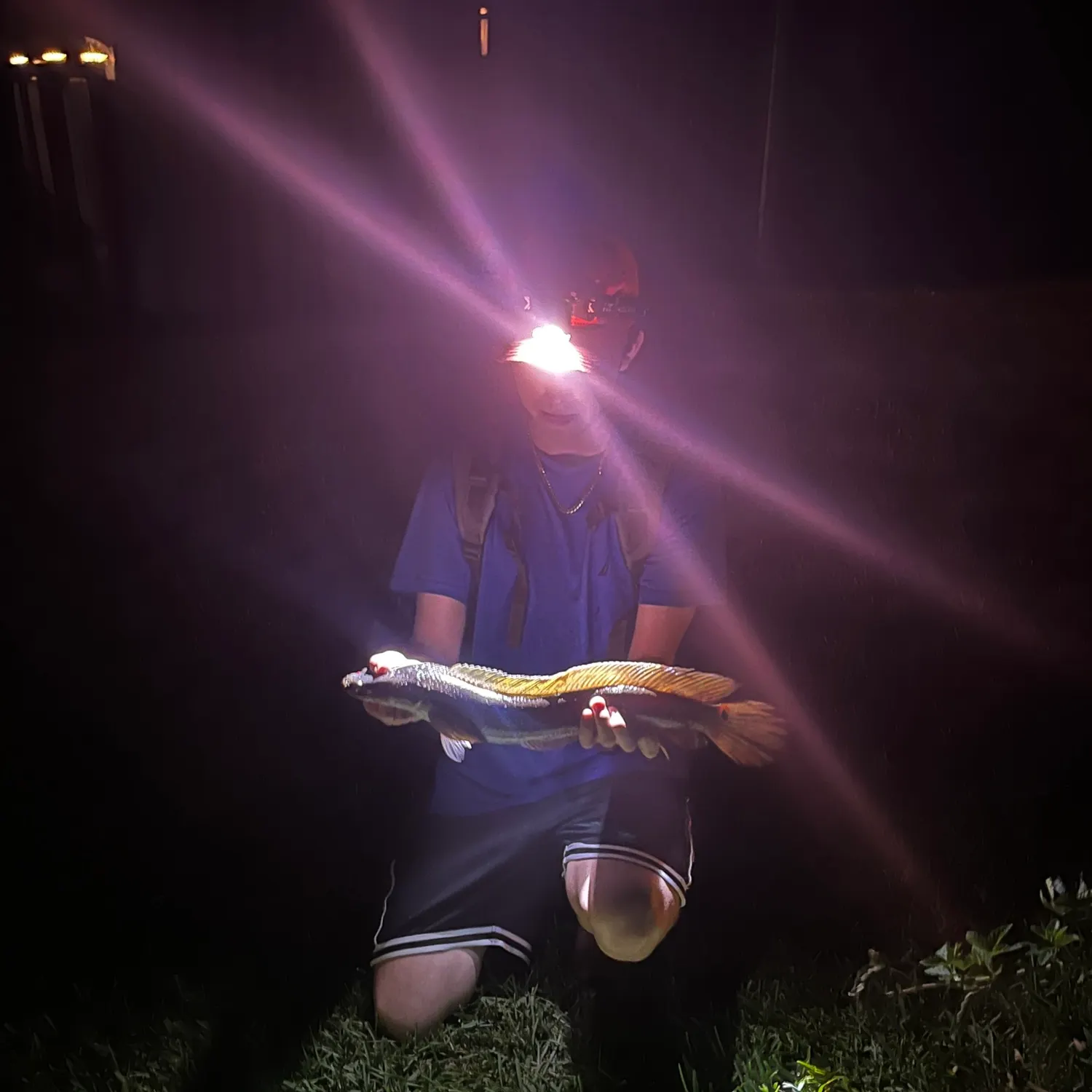 The most recent Bullseye snakehead catches on Fishbrain