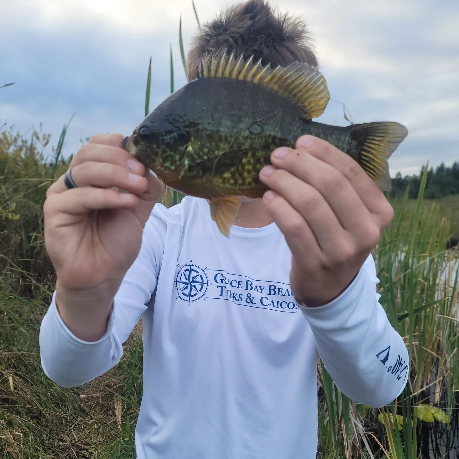 Pumpkinseed caught on Fishbrain