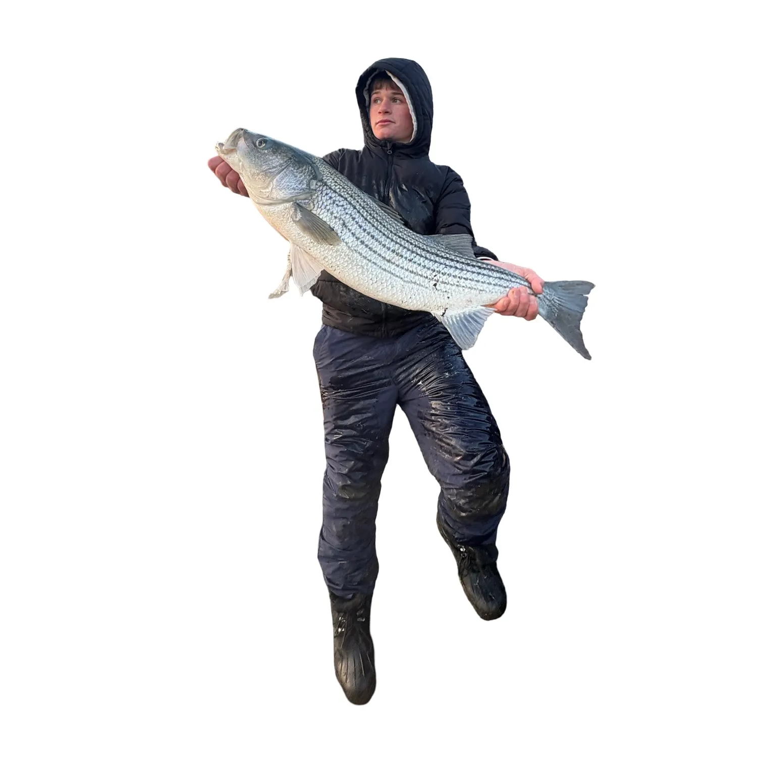 The most recent Striped bass catches on Fishbrain