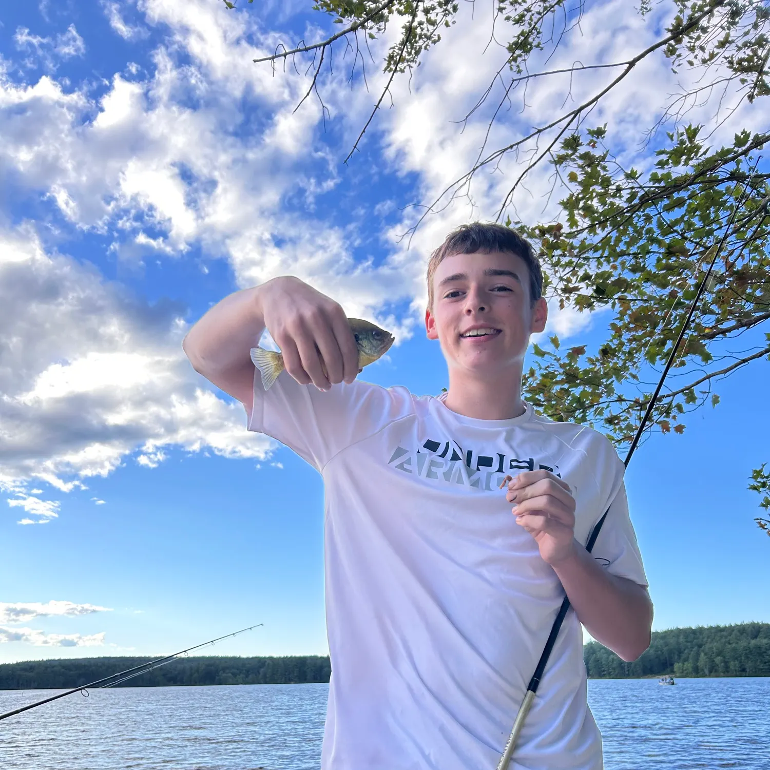 Bluegill caught on Fishbrain