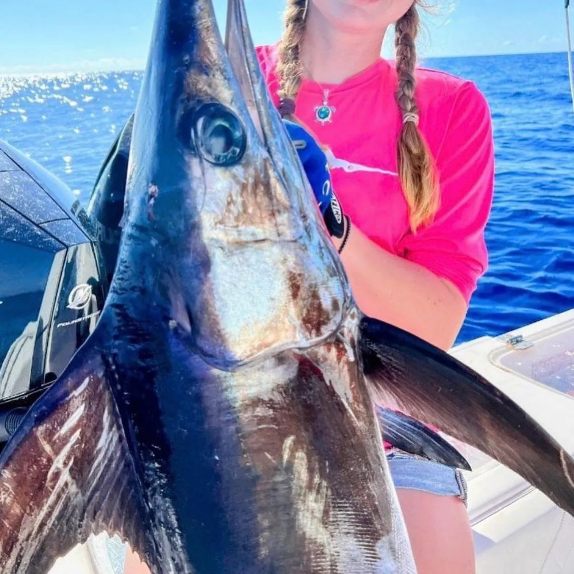 The most recent Swordfish catches on Fishbrain