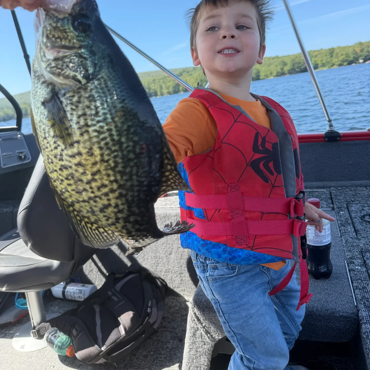 Black crappie caught on Fishbrain