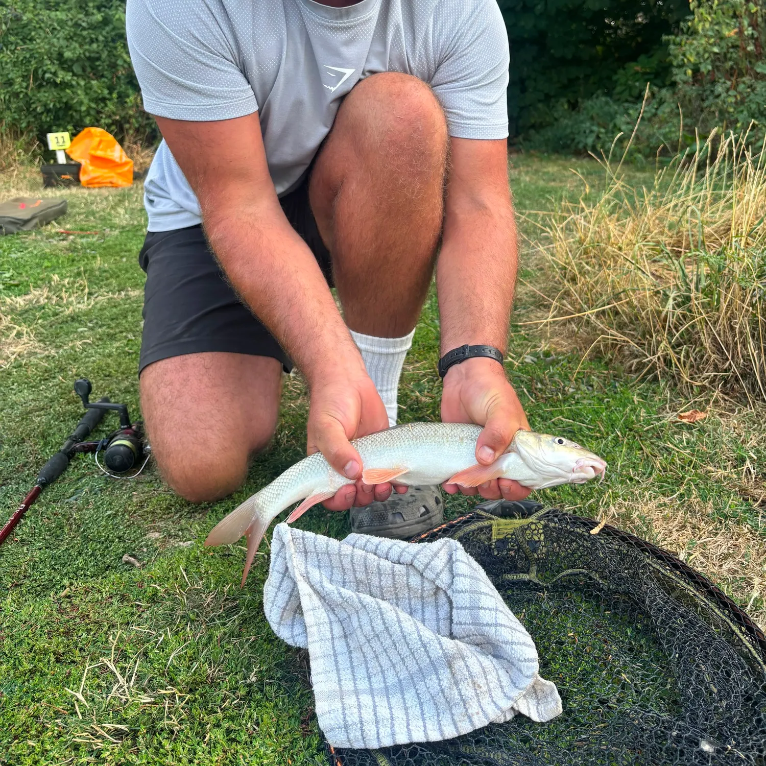 The most recent Common barbel catches on Fishbrain