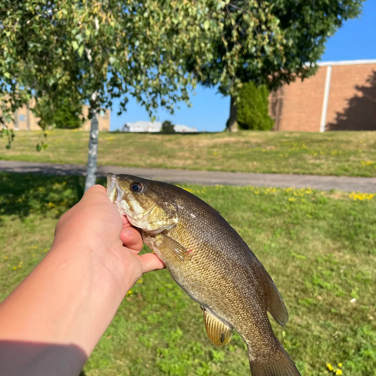 catch