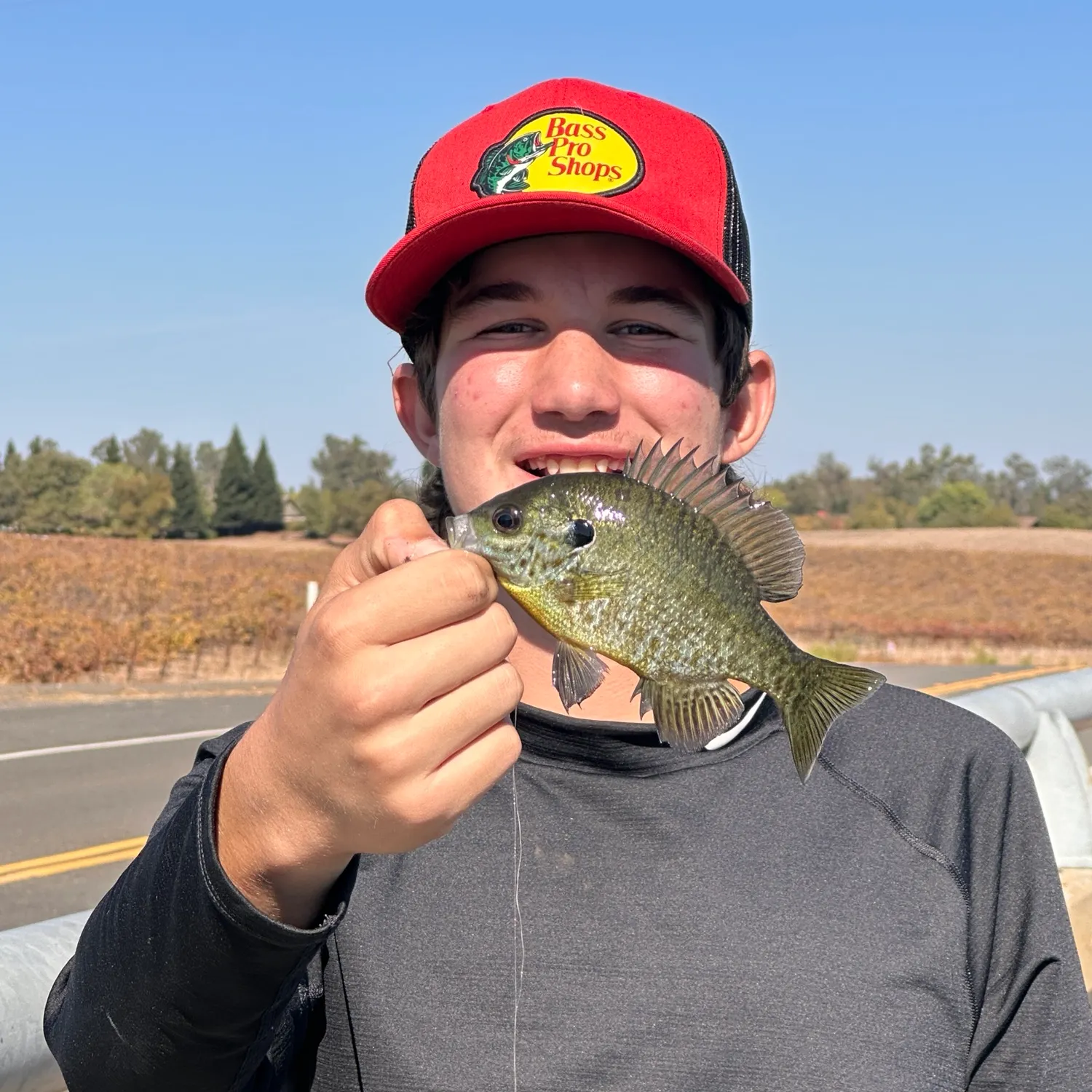 Pumpkinseed caught on Fishbrain