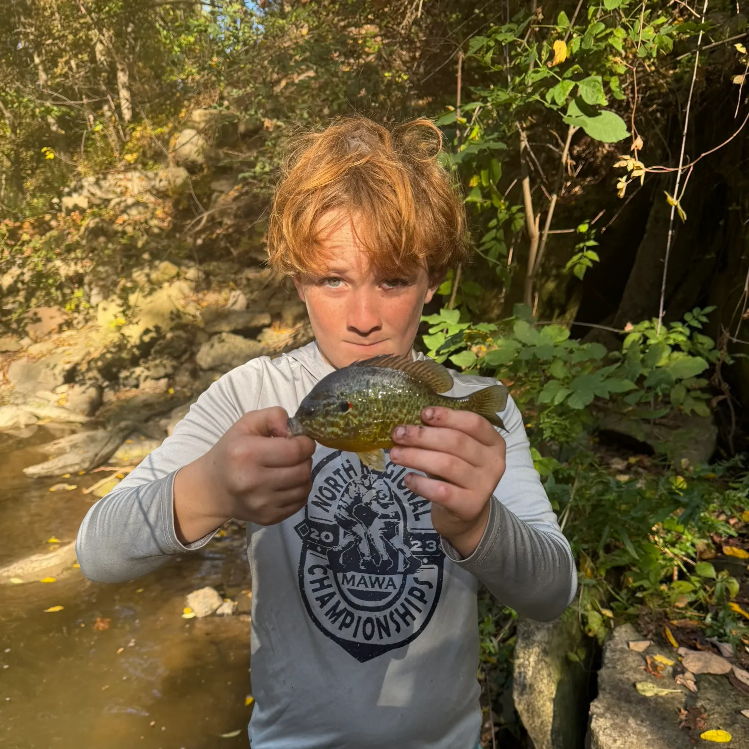 Pumpkinseed caught on Fishbrain