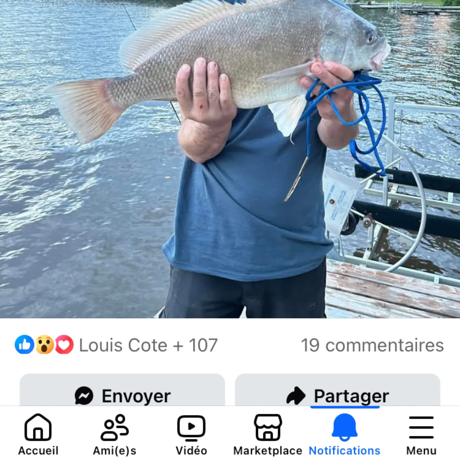 recently logged catches